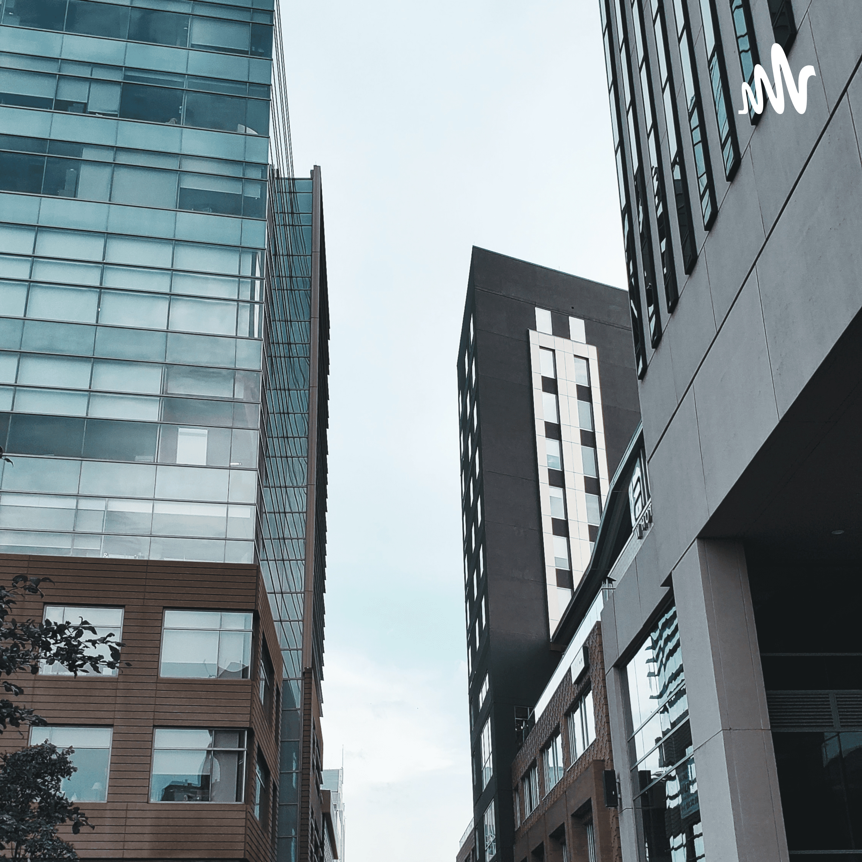 Organización Como Función Administrativa