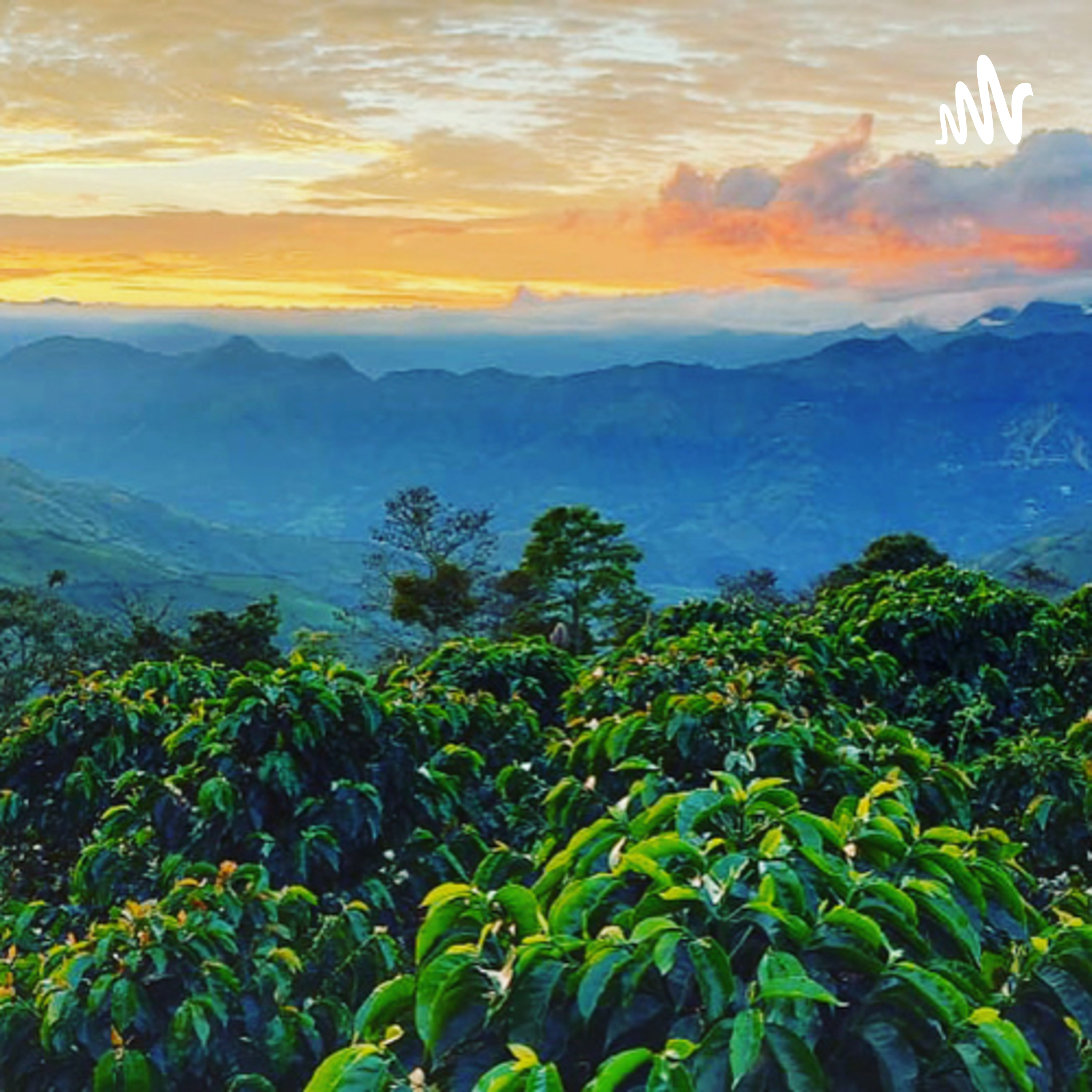 Irrúa el mejor Café para el Mundo