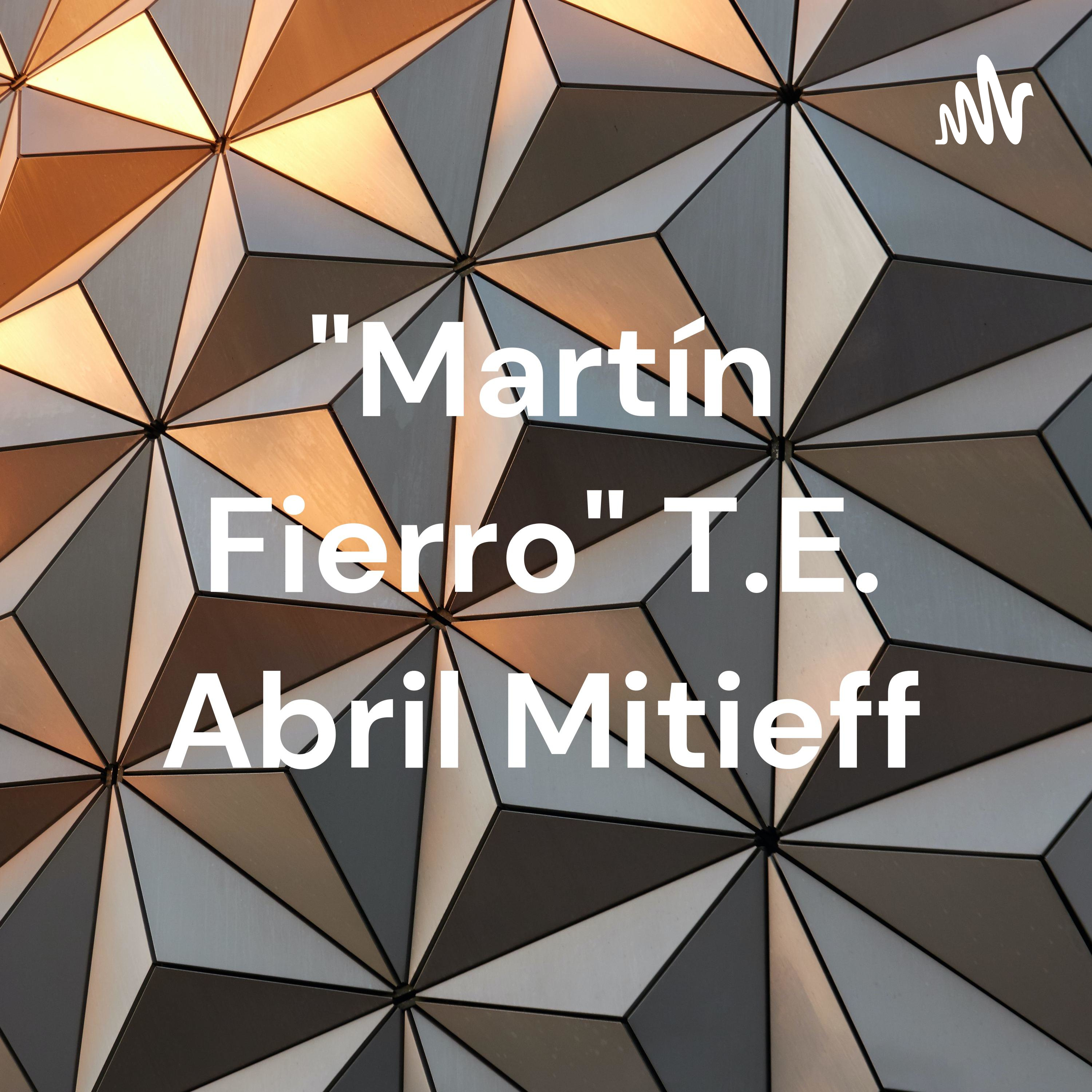 "Martín Fierro" T.E. Abril Mitieff