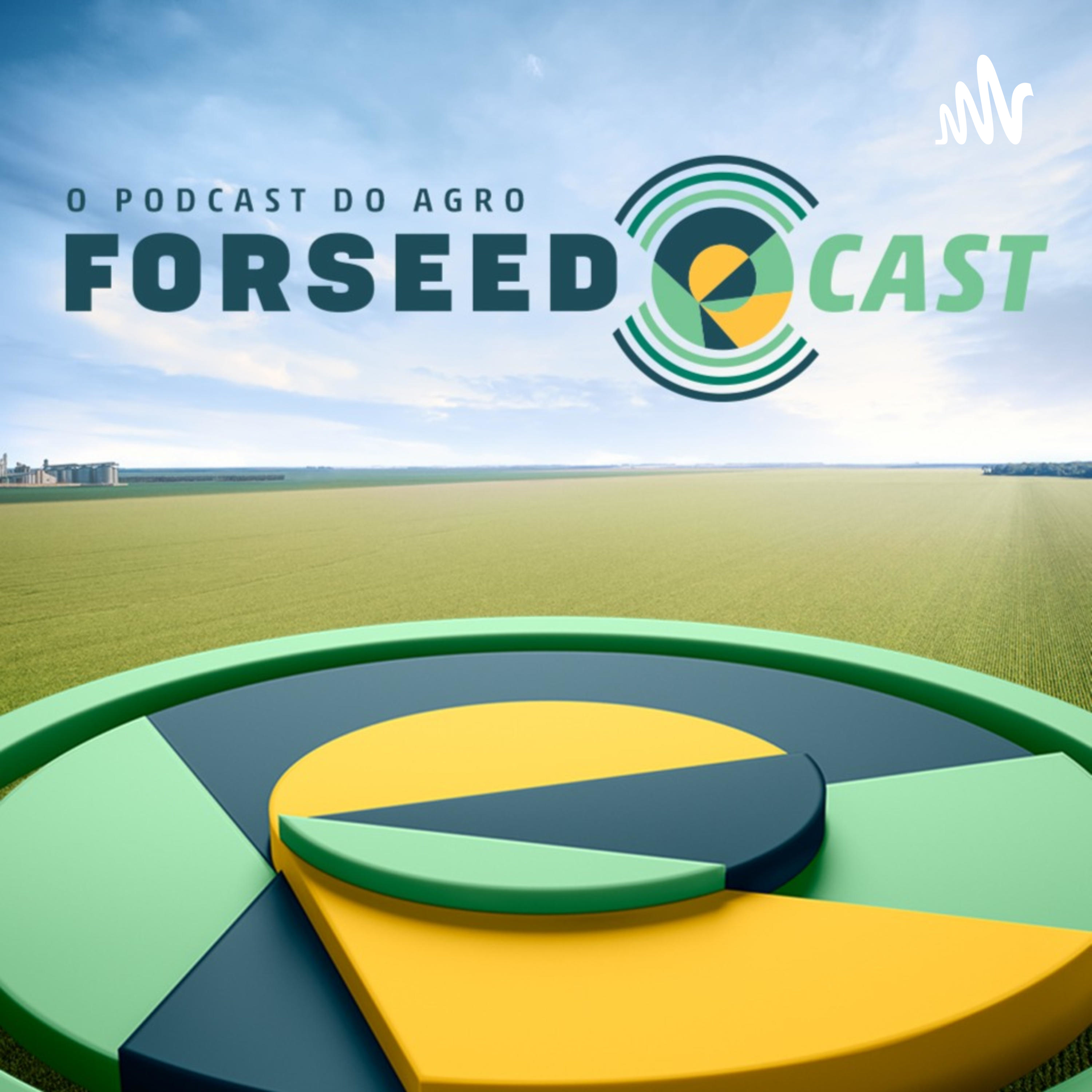 4 anos da Forseed no mercado!