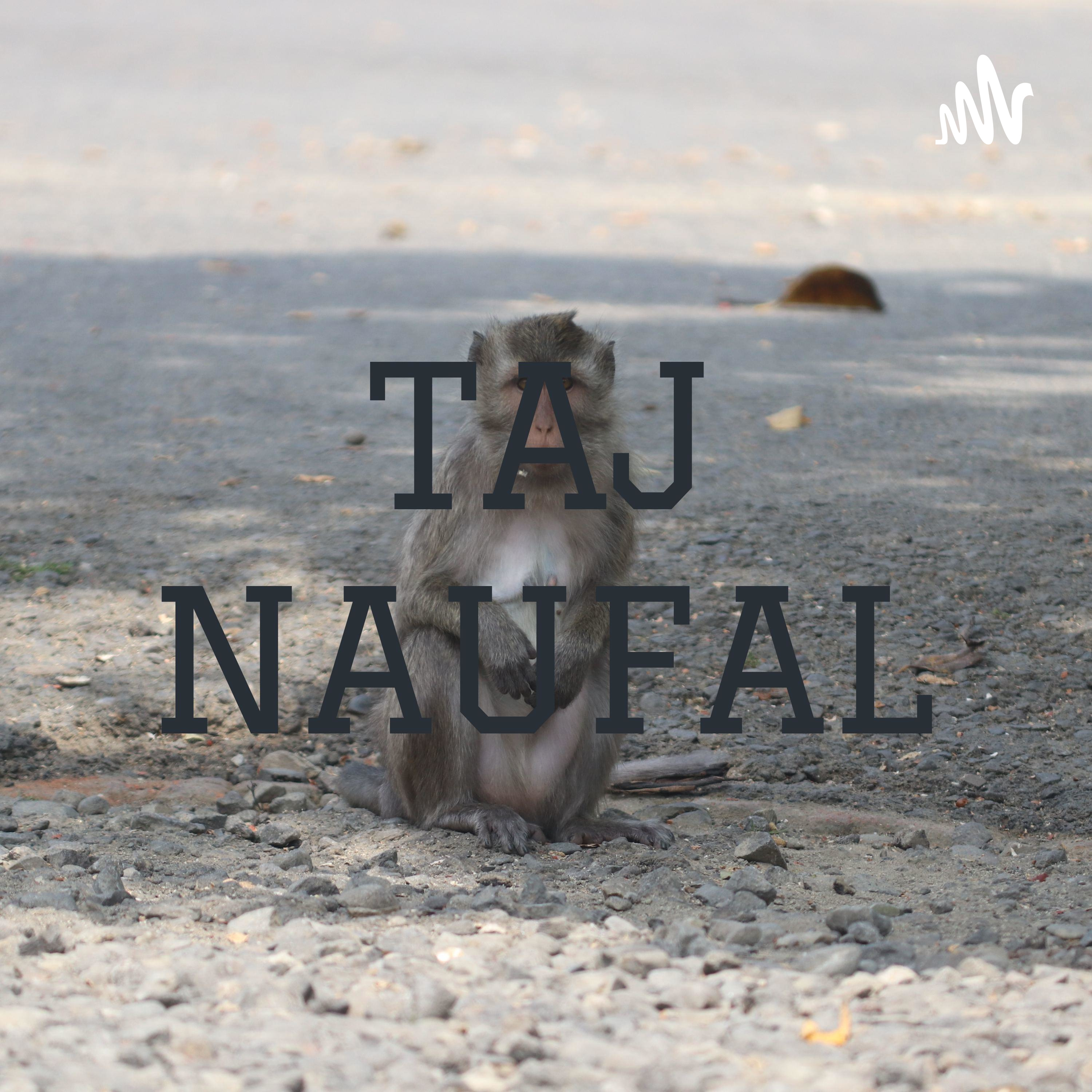 TAJ NAUFAL