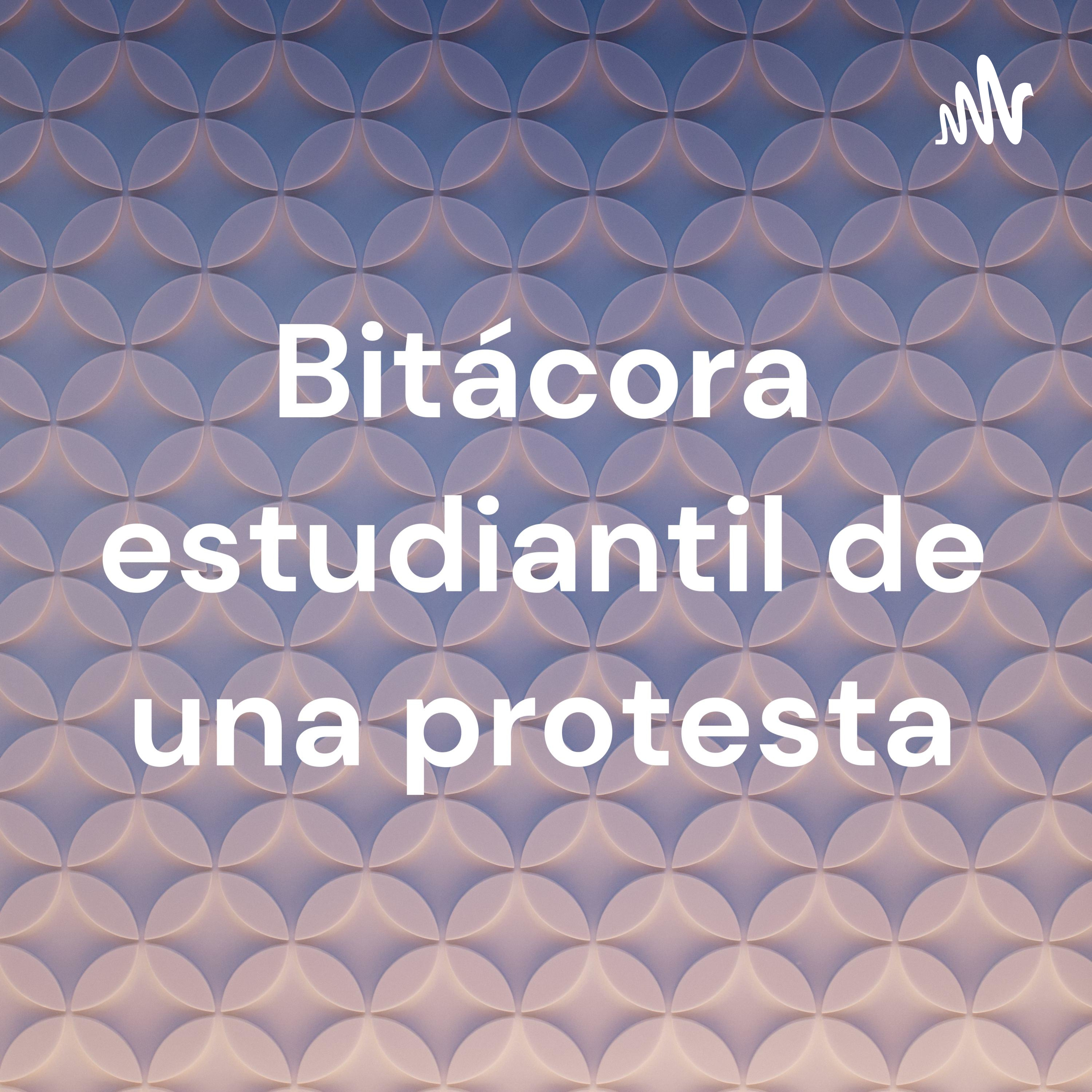 Bitácora estudiantil de una protesta