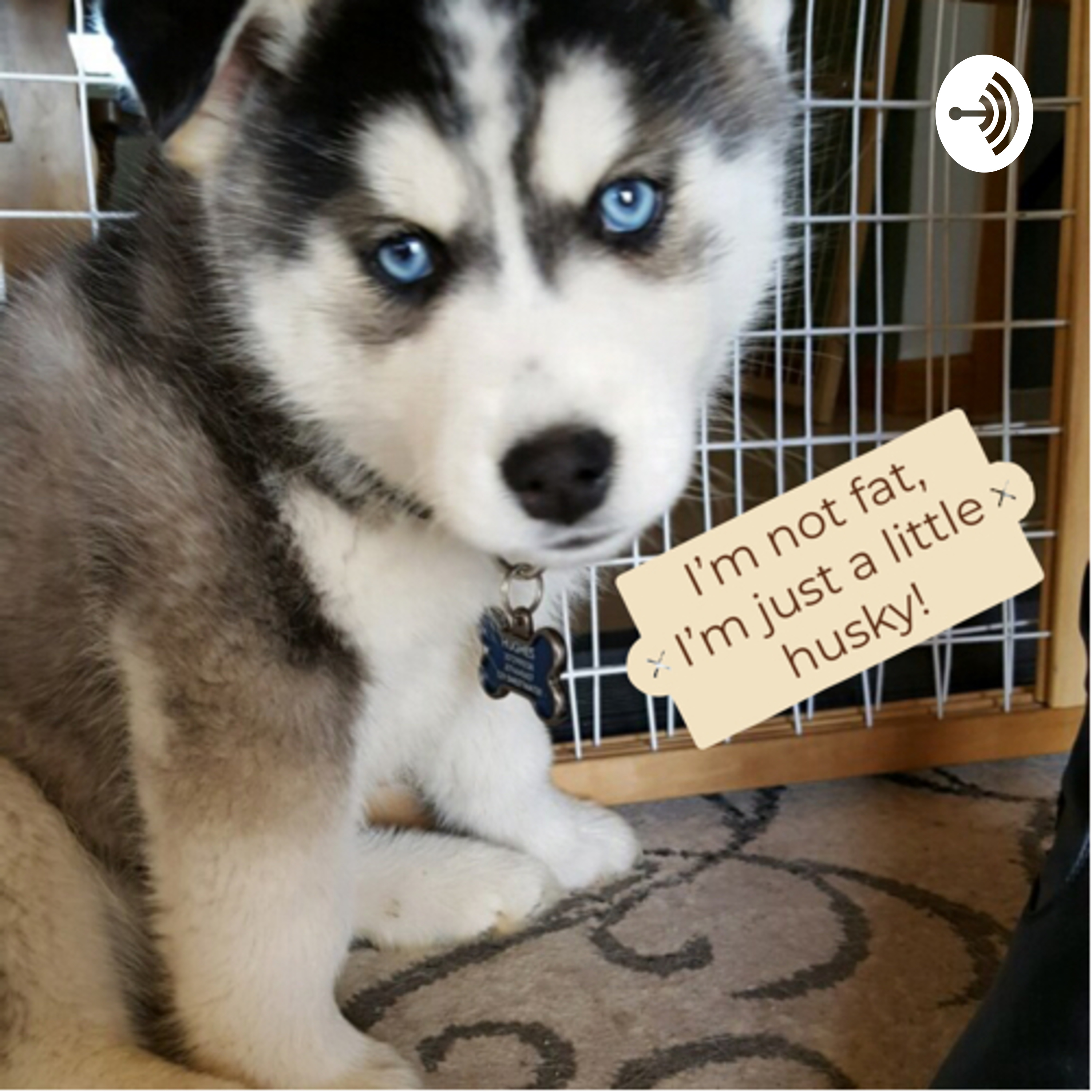 I’m Just a Little Husky