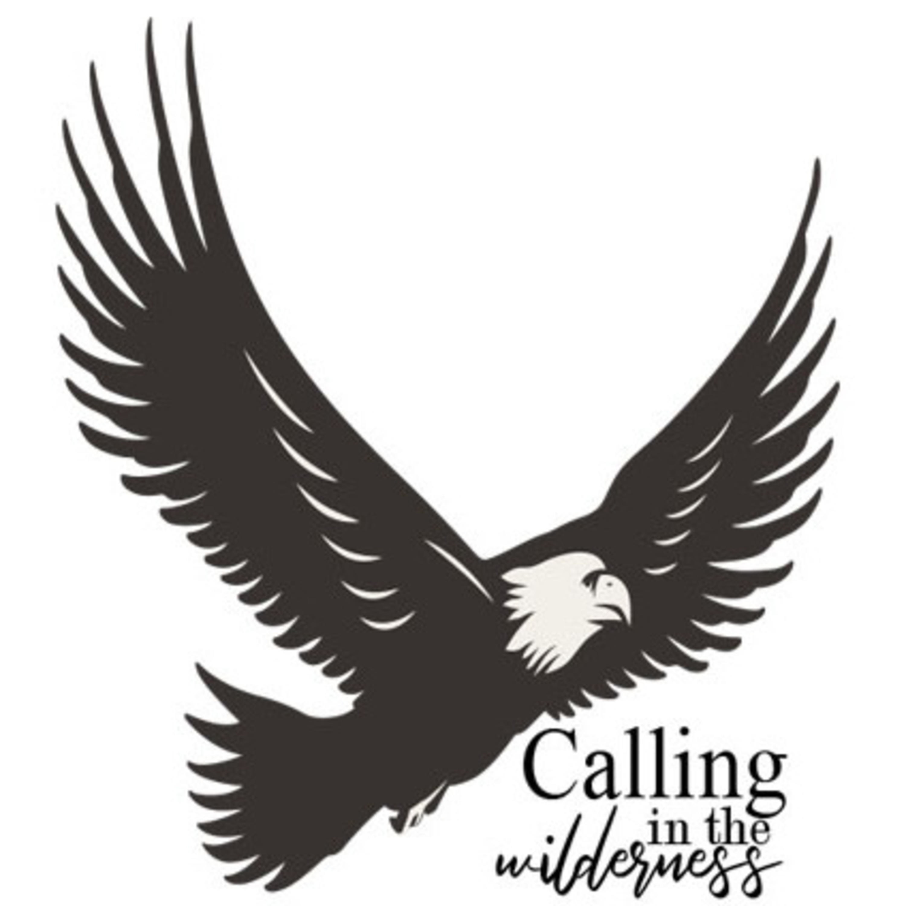 Calling In The Wilderness