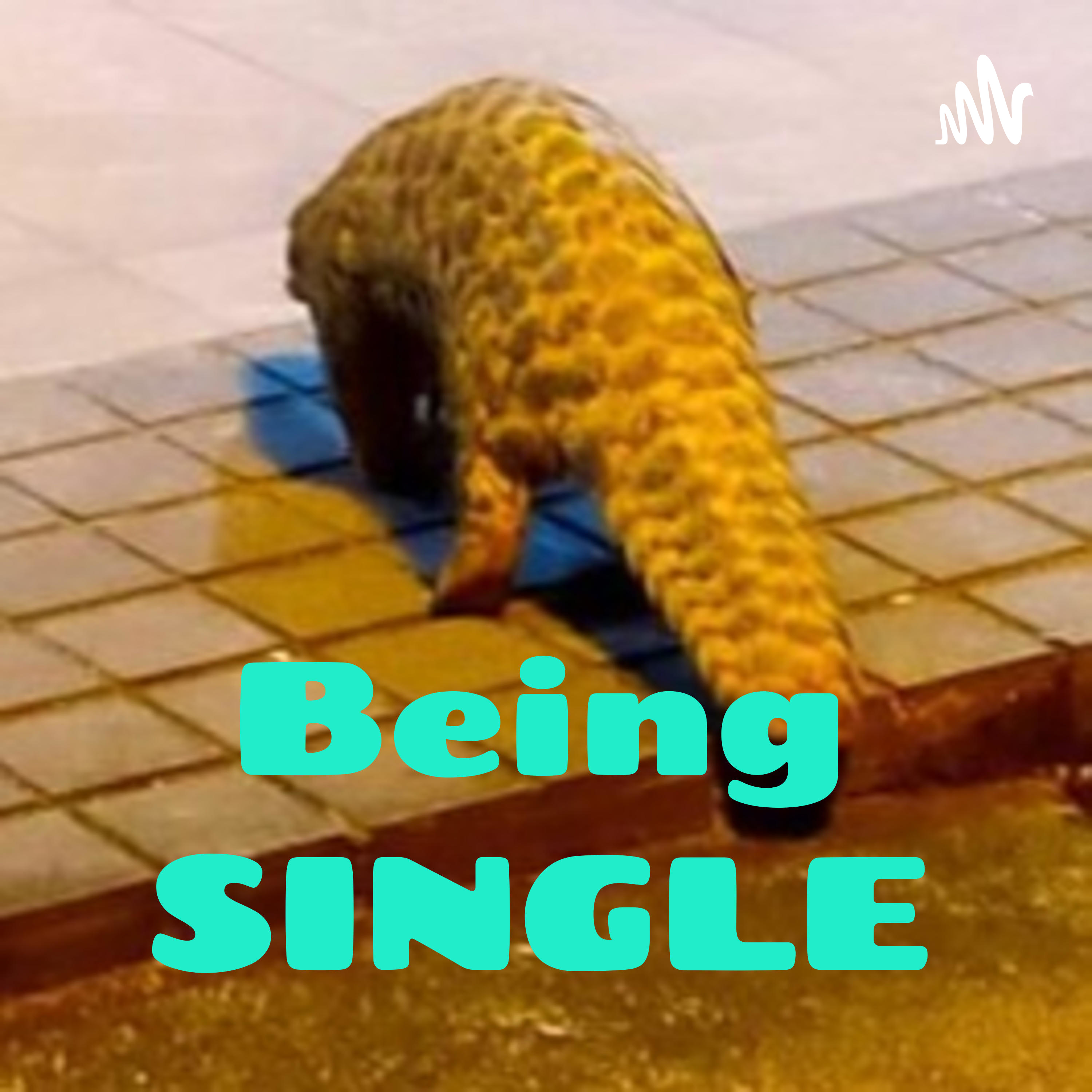 理所單然 Being SINGLE