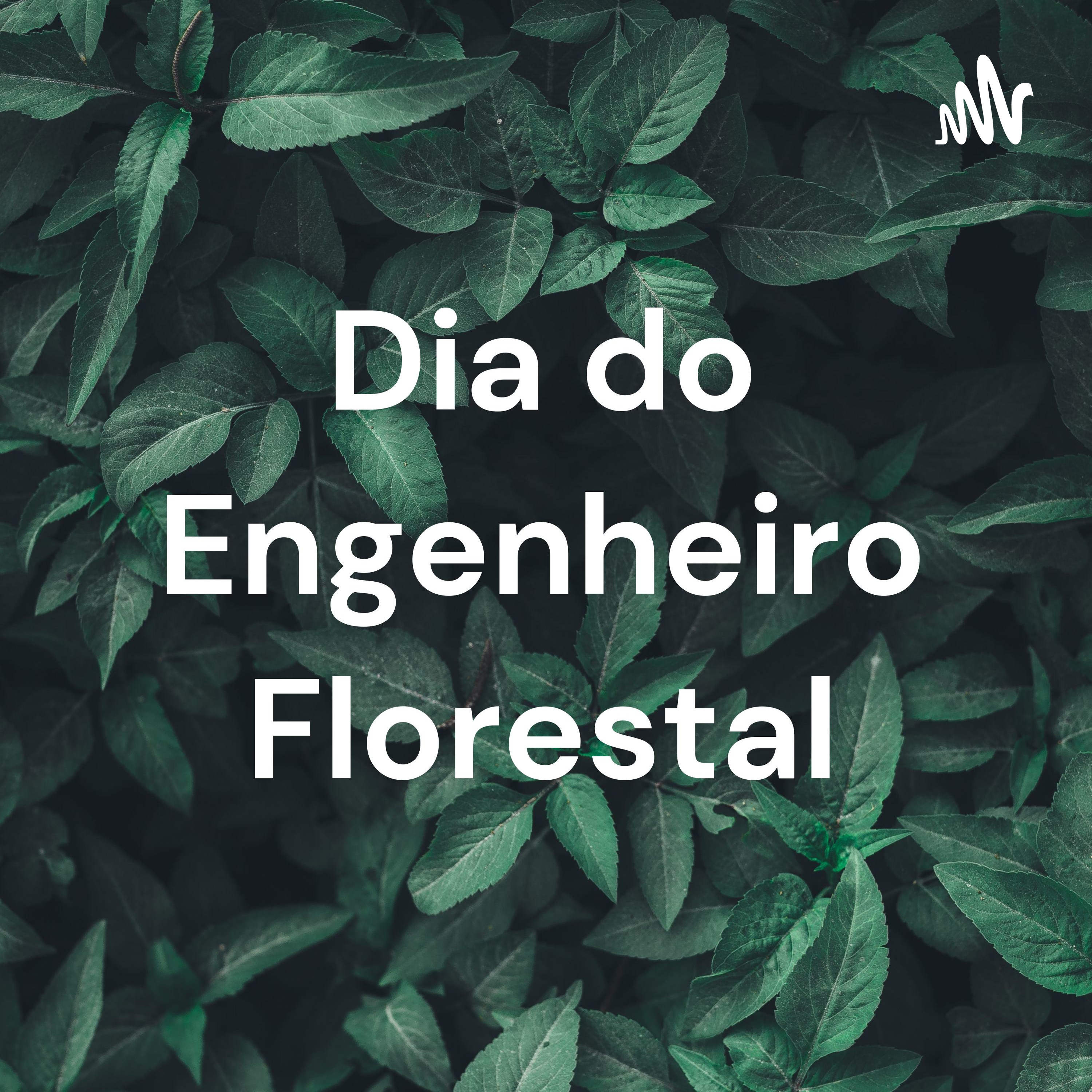 Dia do Engenheiro Florestal podcast artwork