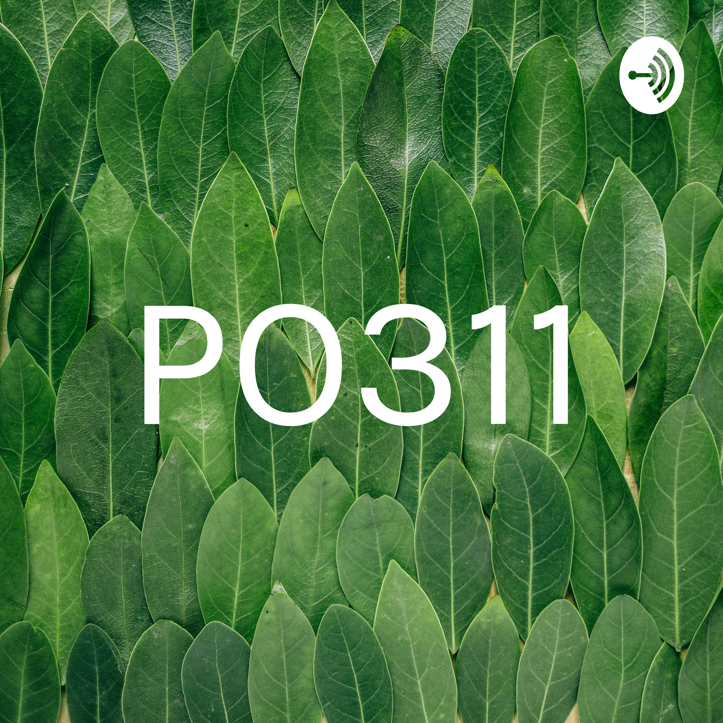 PO311