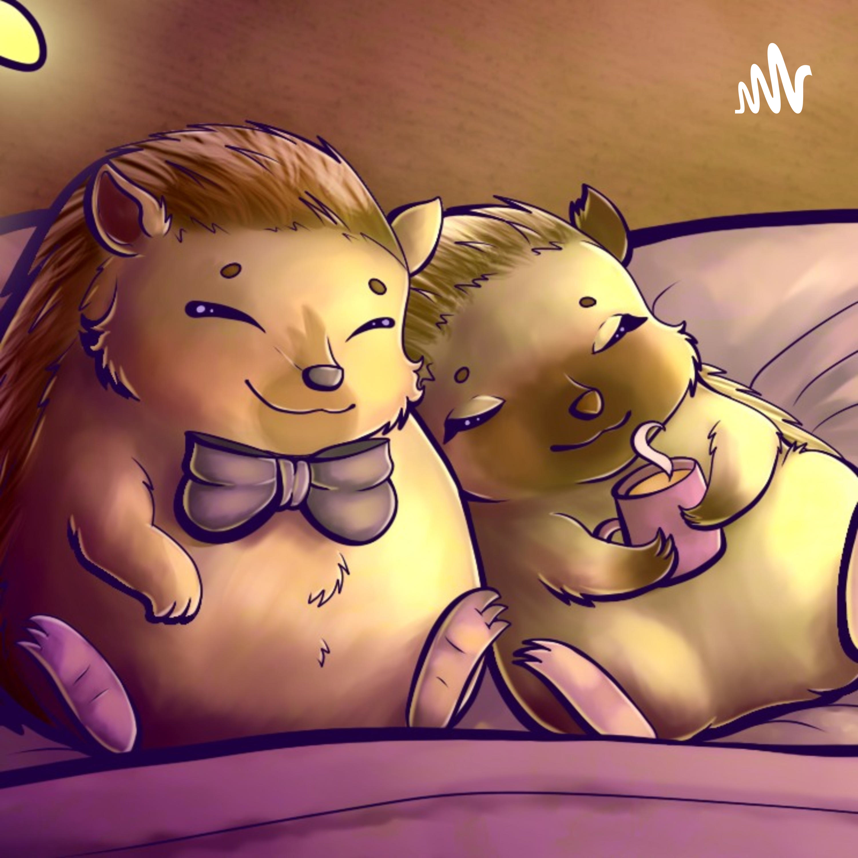 Bed in Podcast