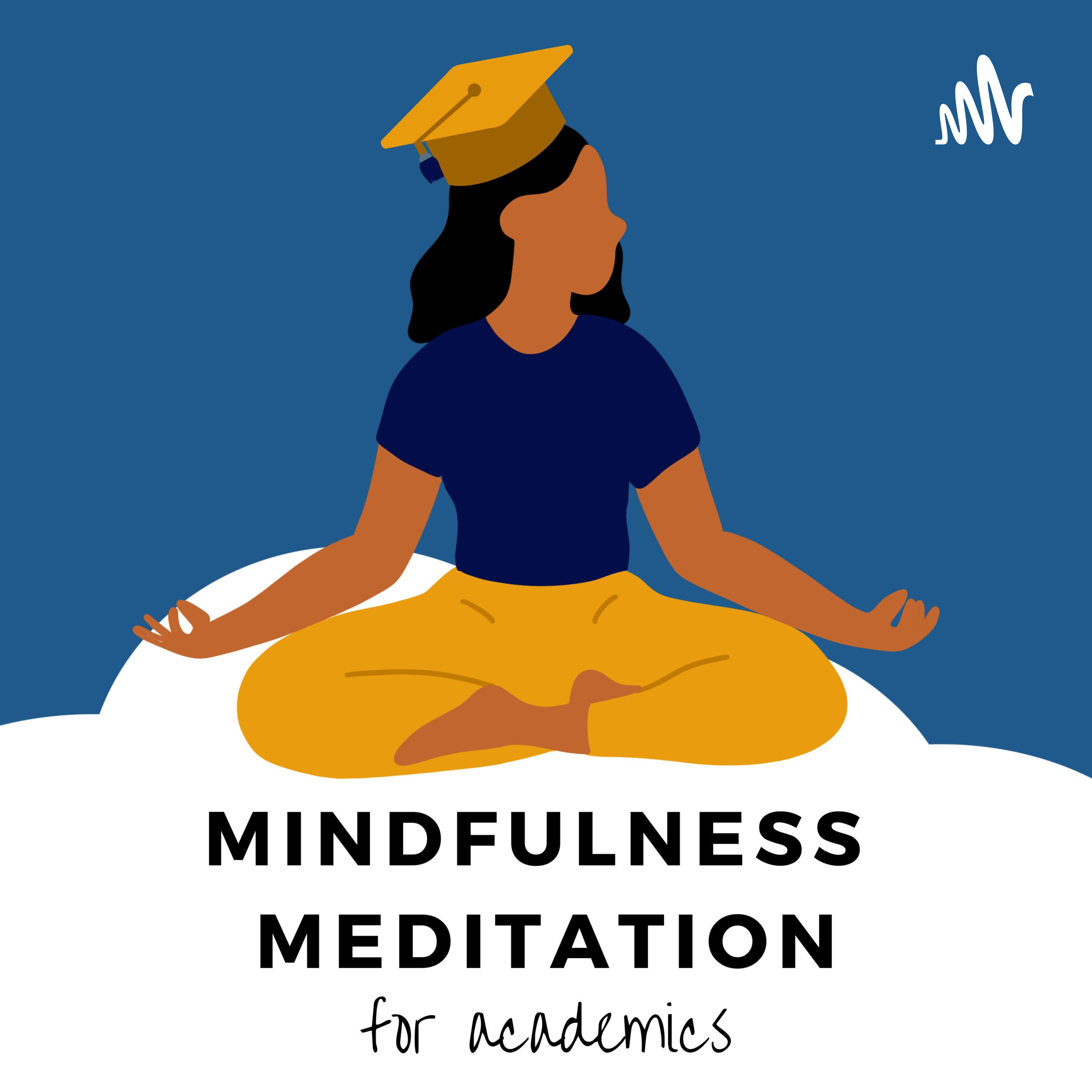 Mindfulness Meditation for Academics
