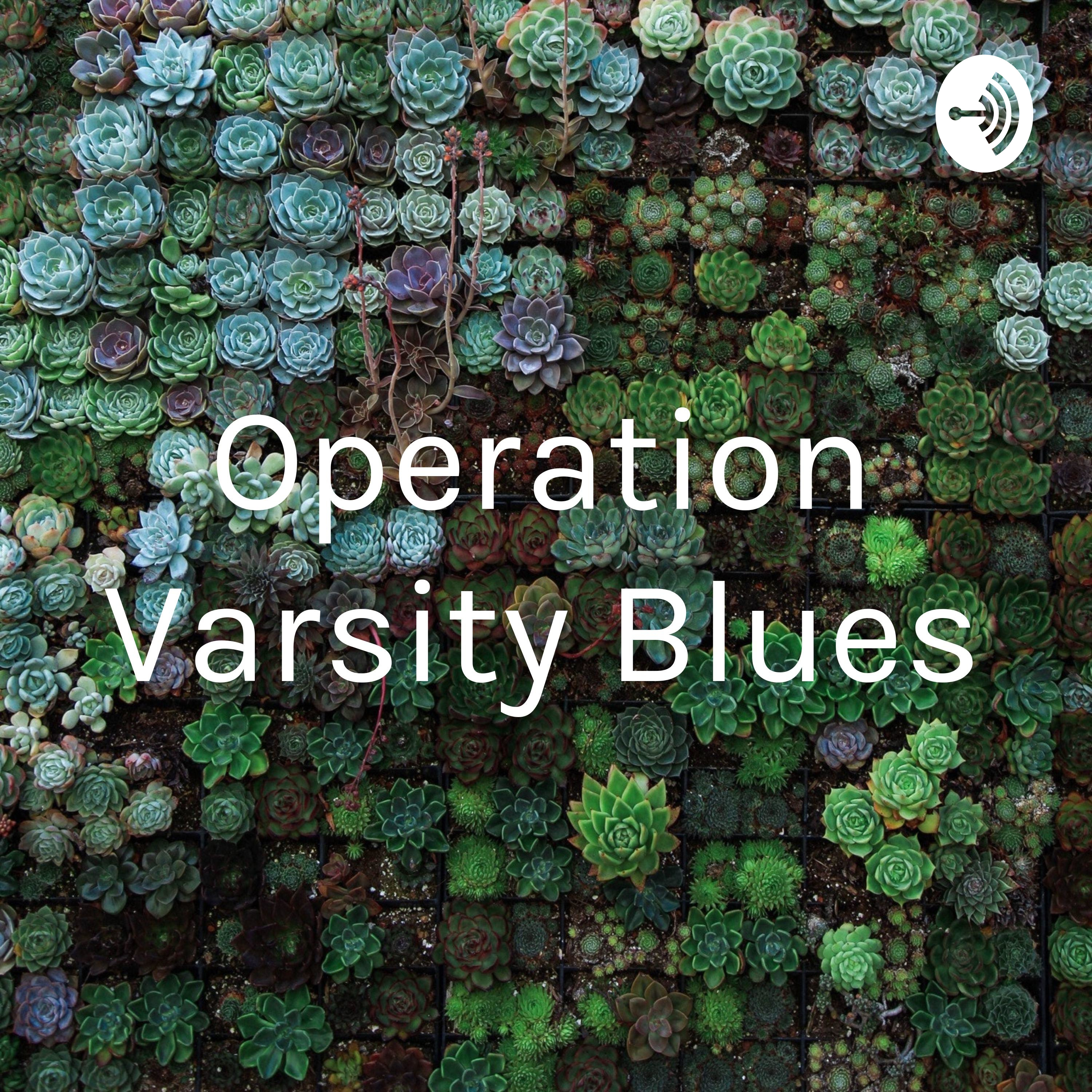 Operation Varsity Blues
