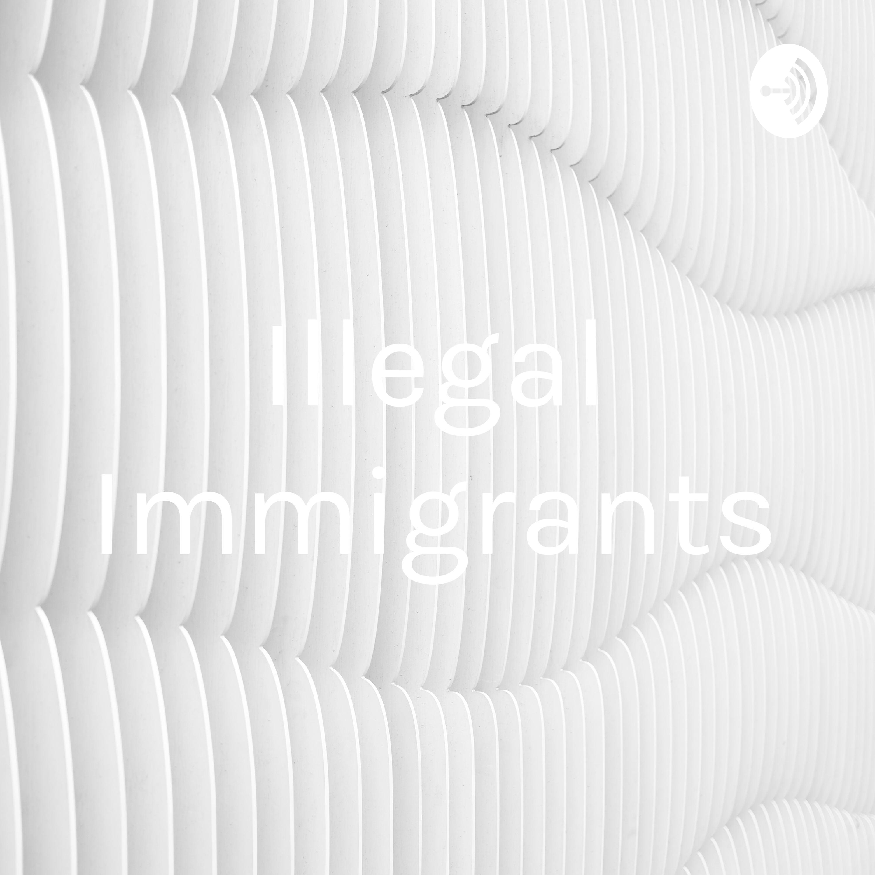 Illegal Immigrants