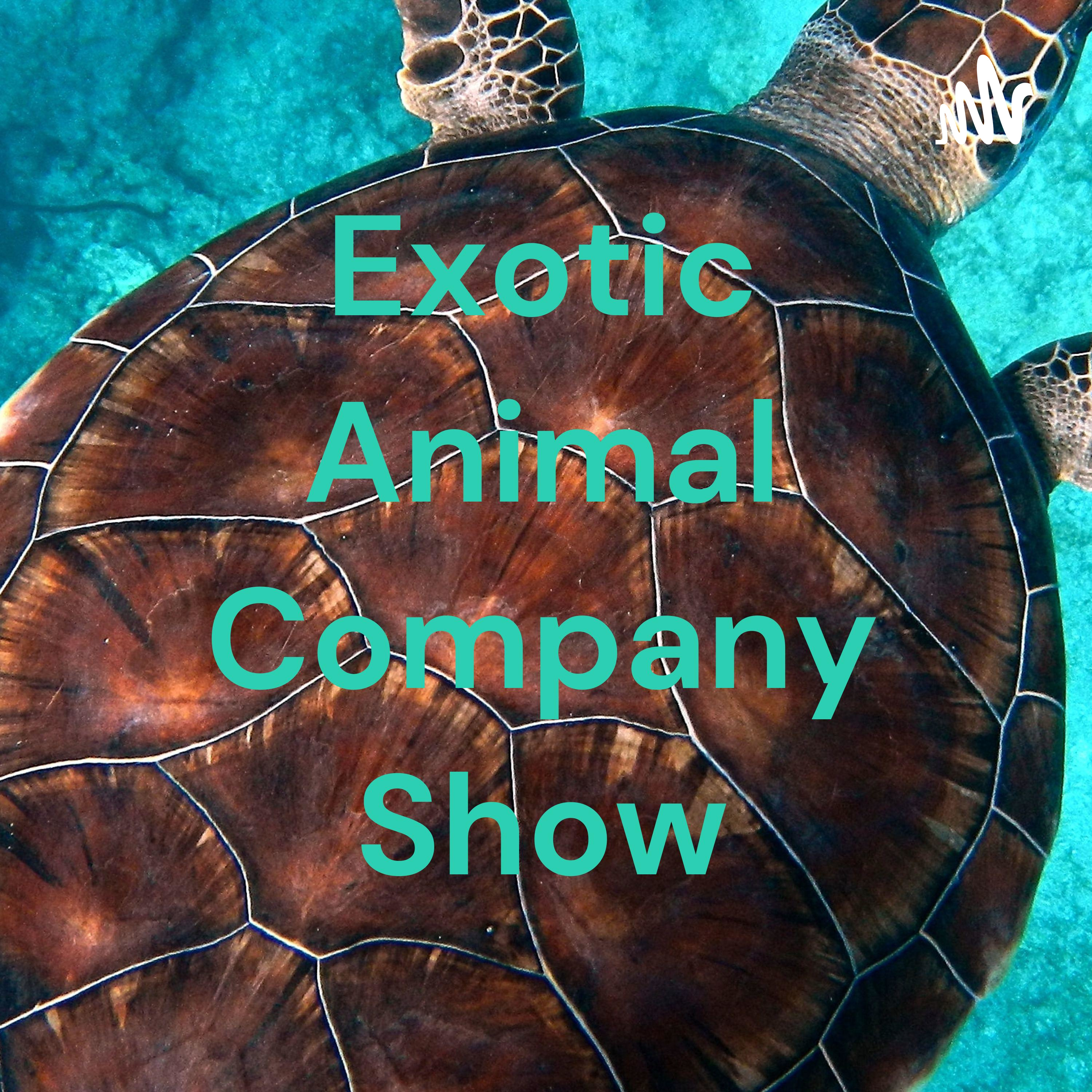 Exotic Animal Company Show podcast artwork