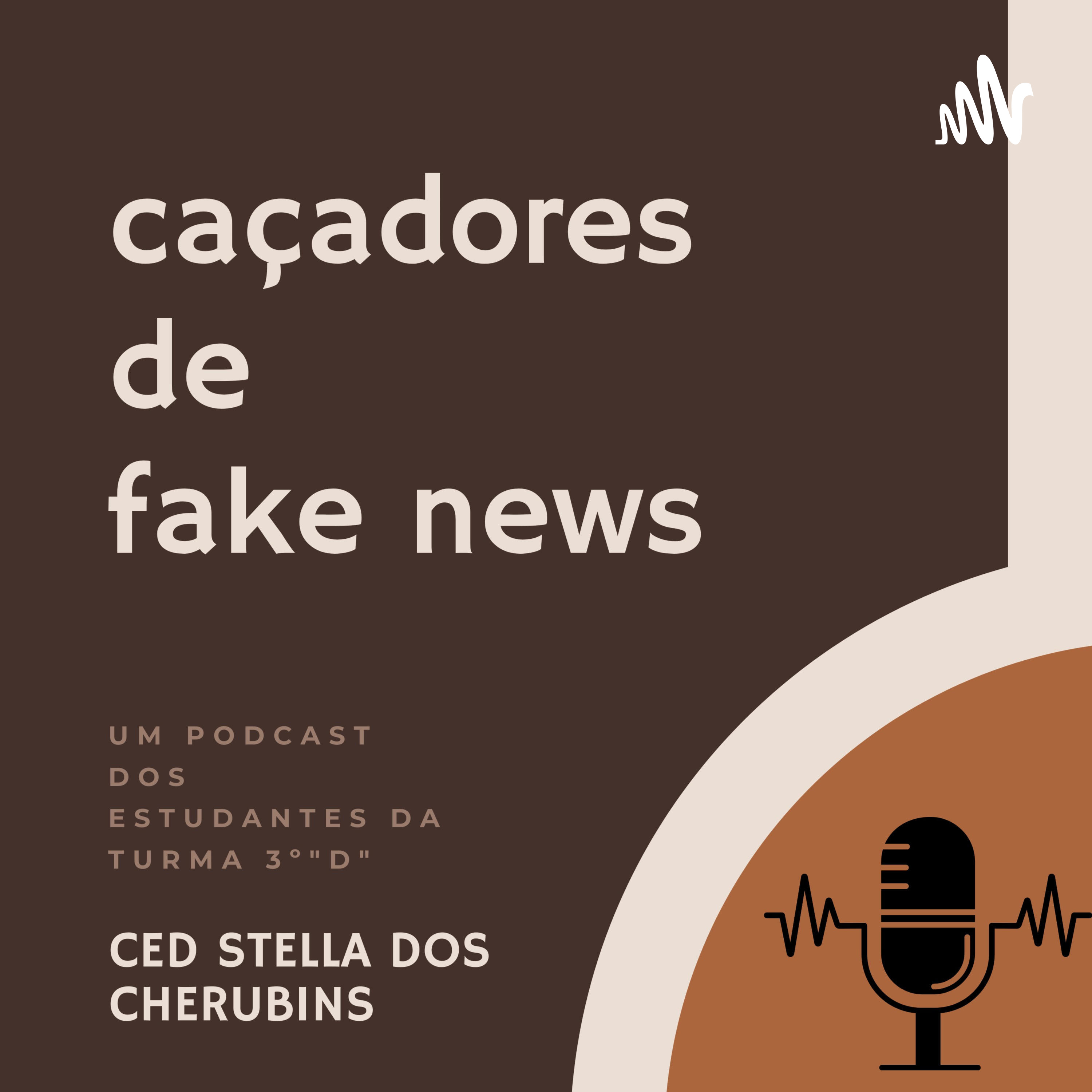 Caçadores de Fake News