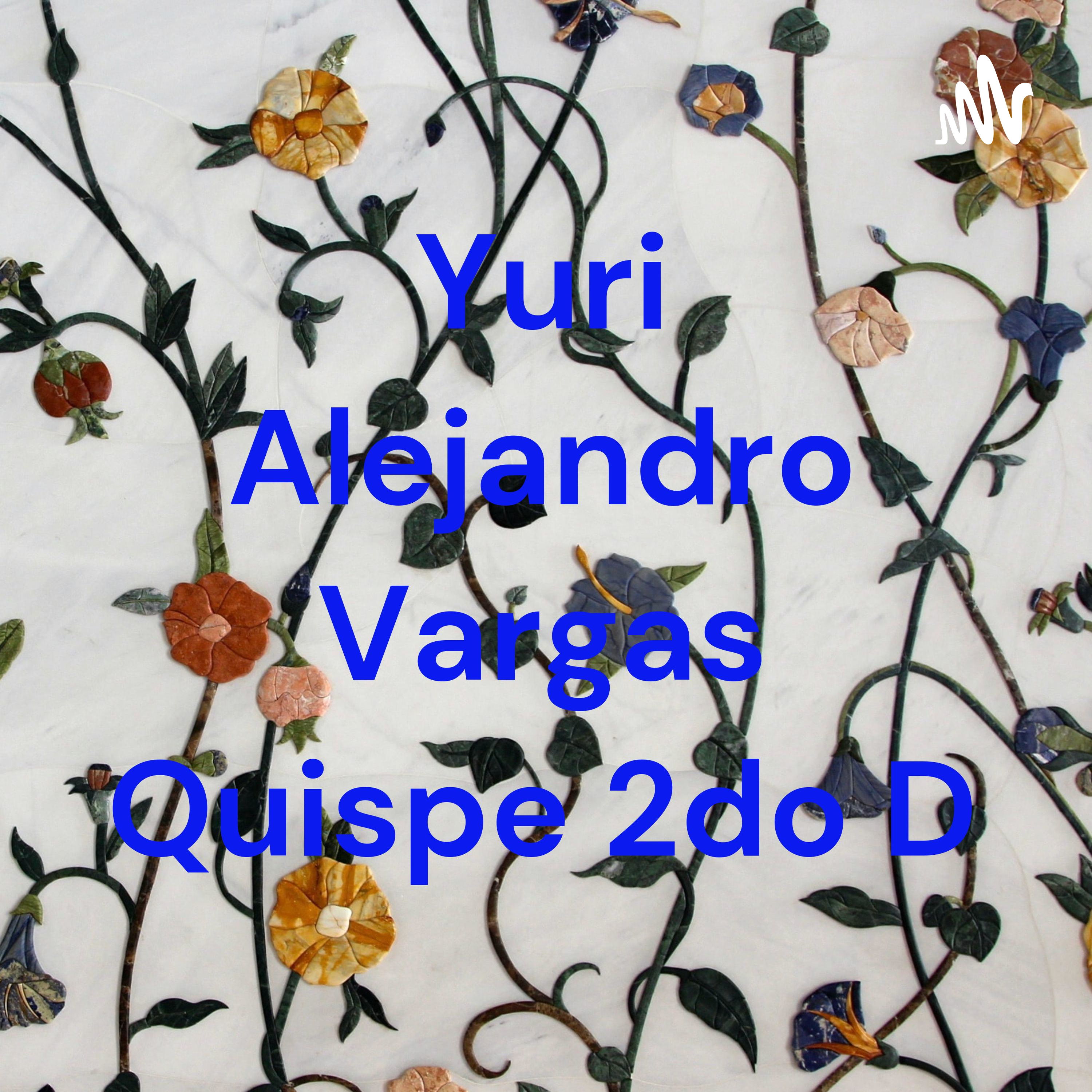 Yuri Alejandro Vargas Quispe 2do D