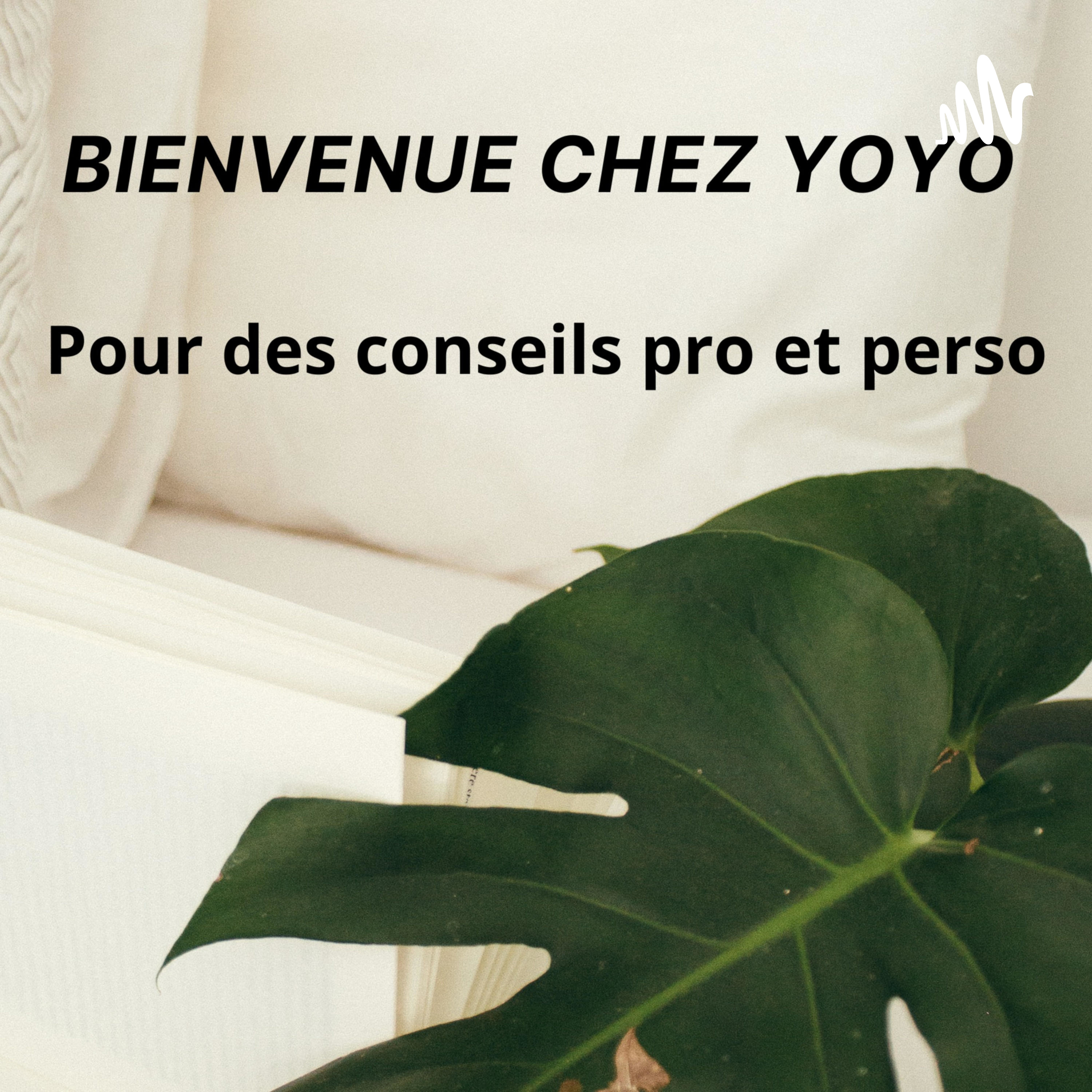BIENVENUE CHEZ YOYO pour des conseils pro et perso