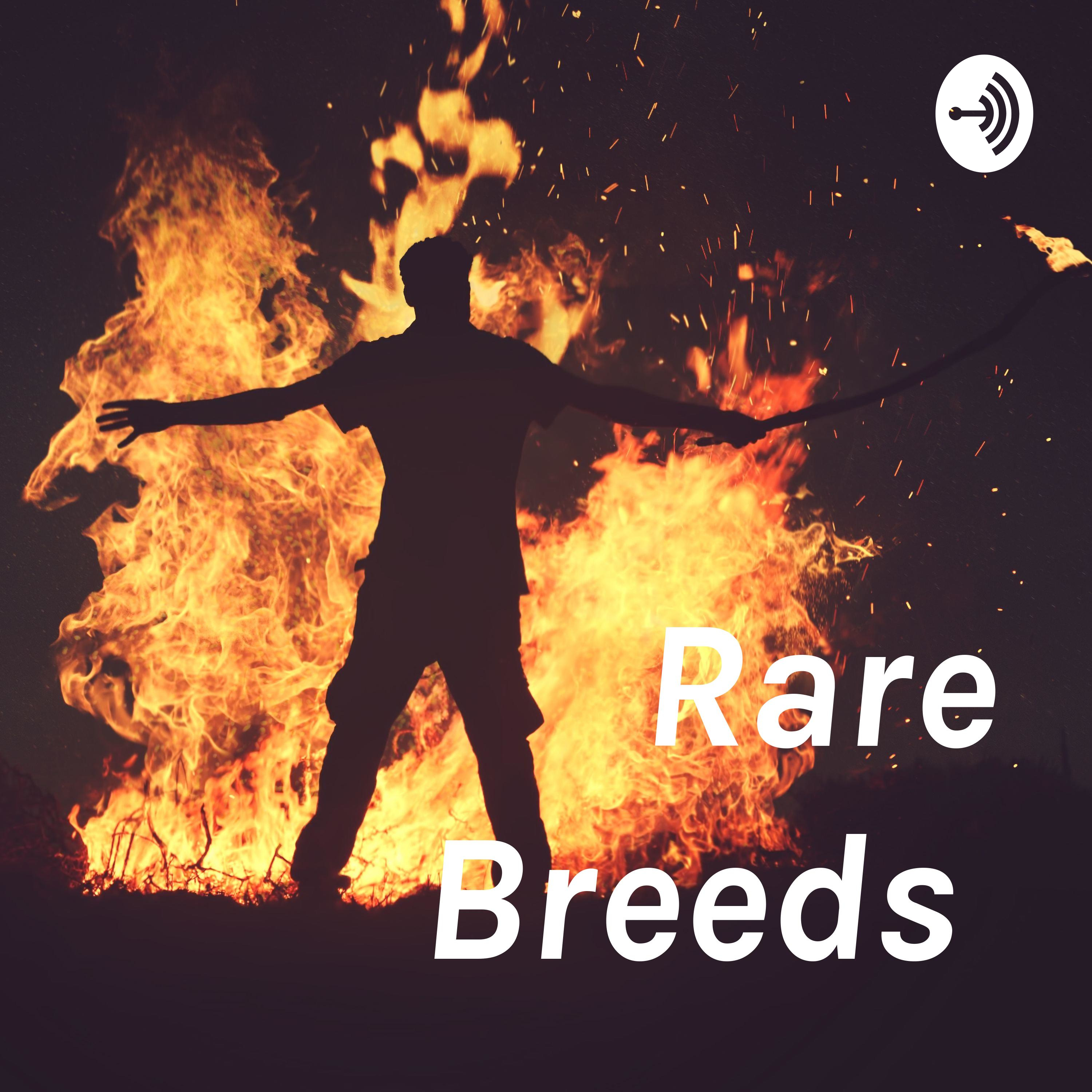 Business Funding Podcast