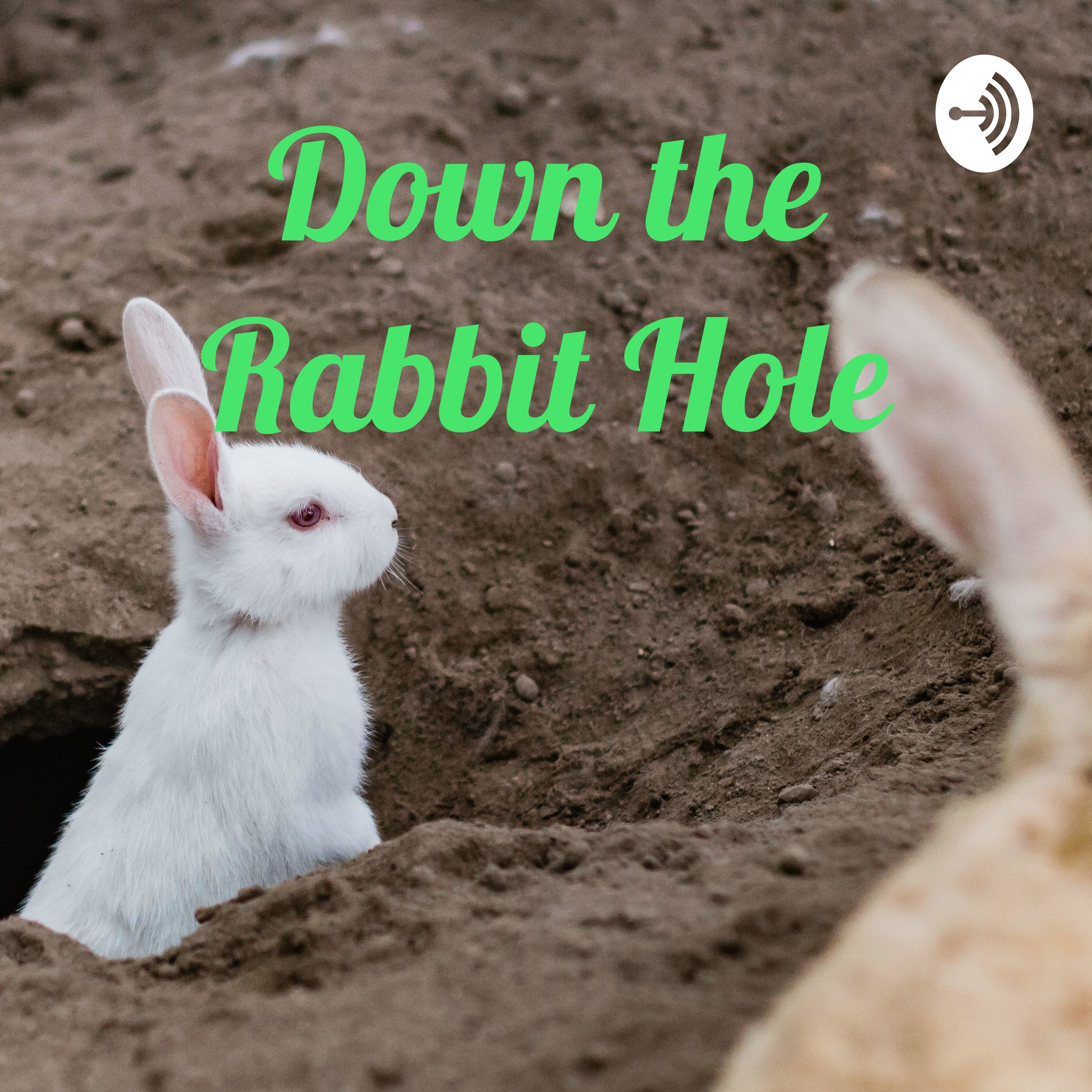 Down the Rabbit Hole
