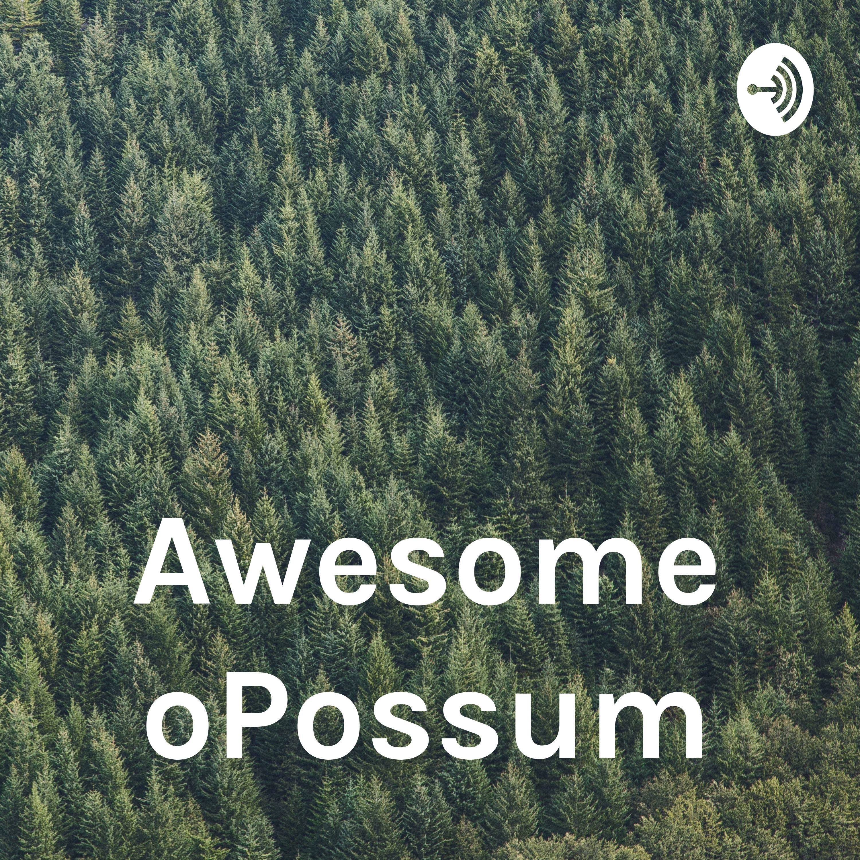 Awesome oPossum