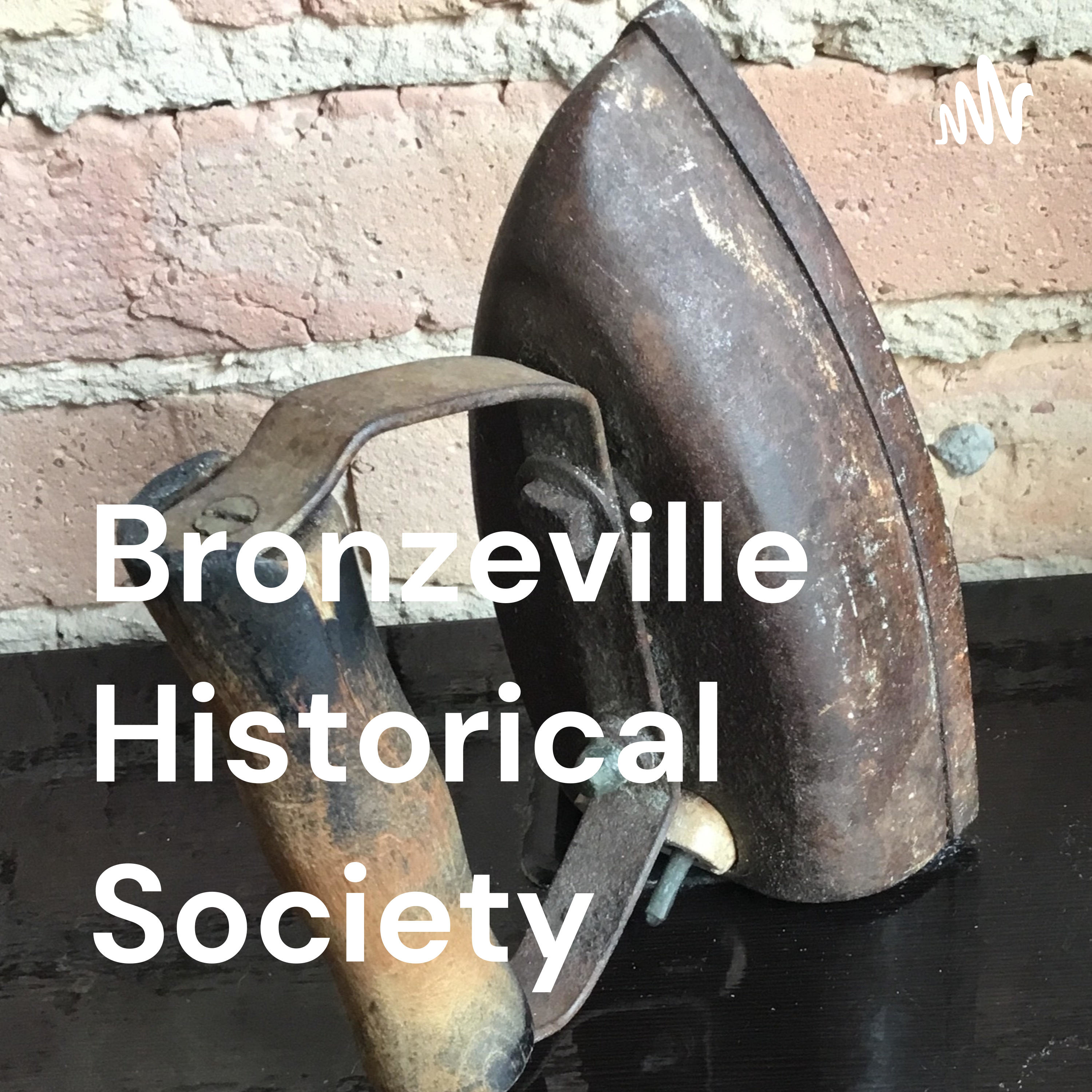 Bronzeville Historical Society