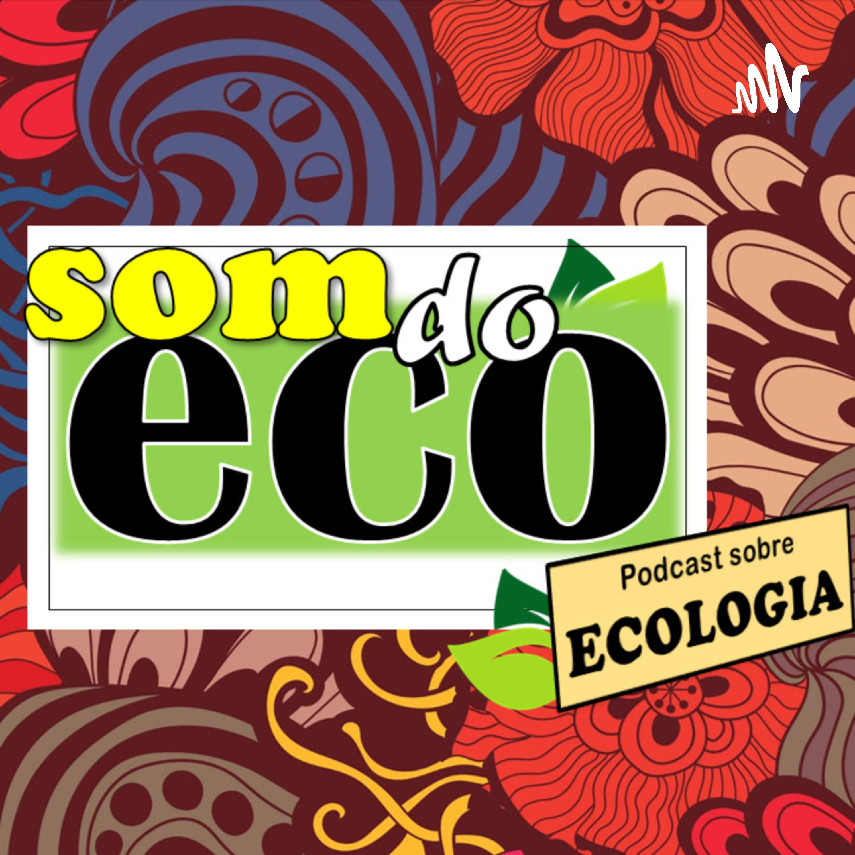 O Som do Eco