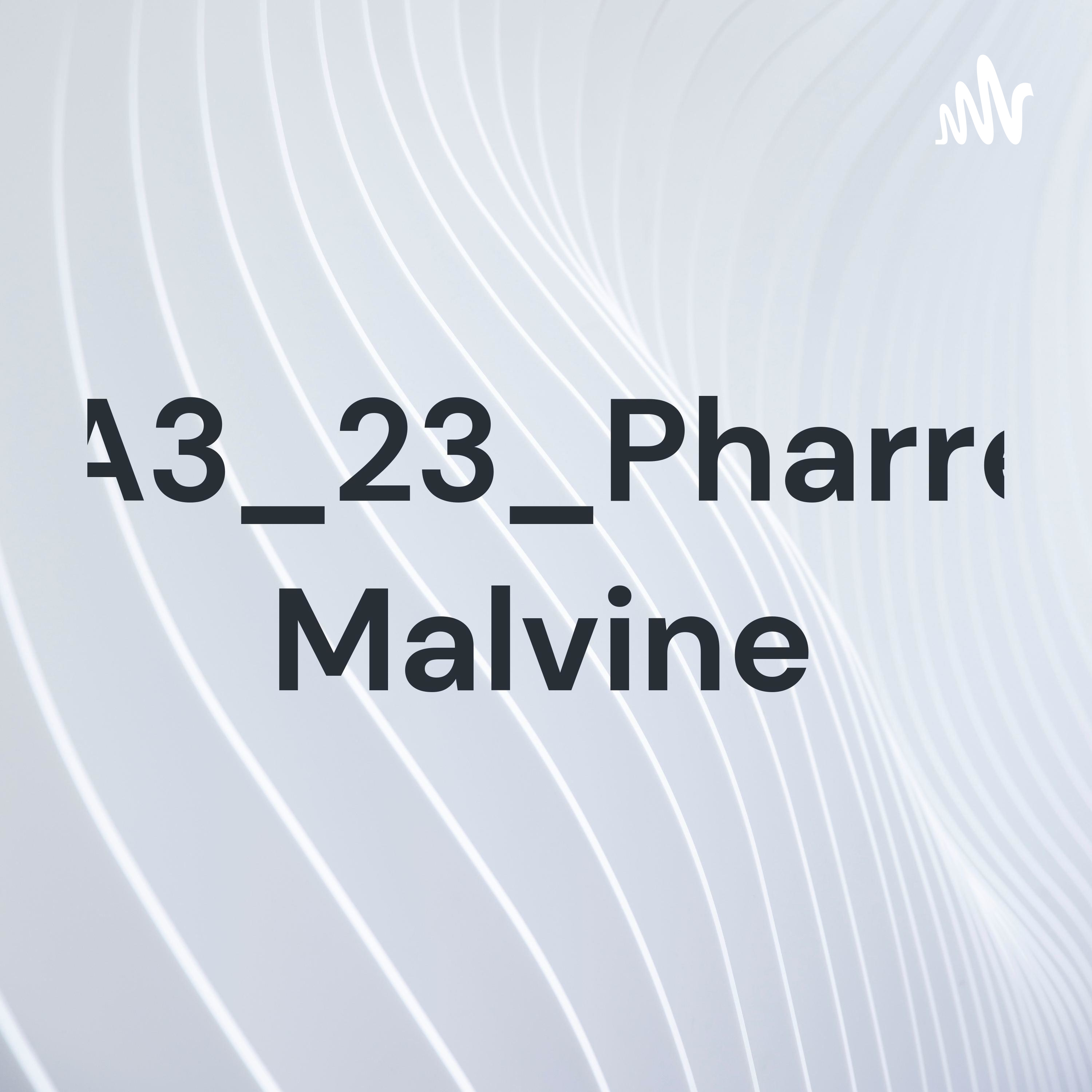 11A3_23_Pharrell Malvine