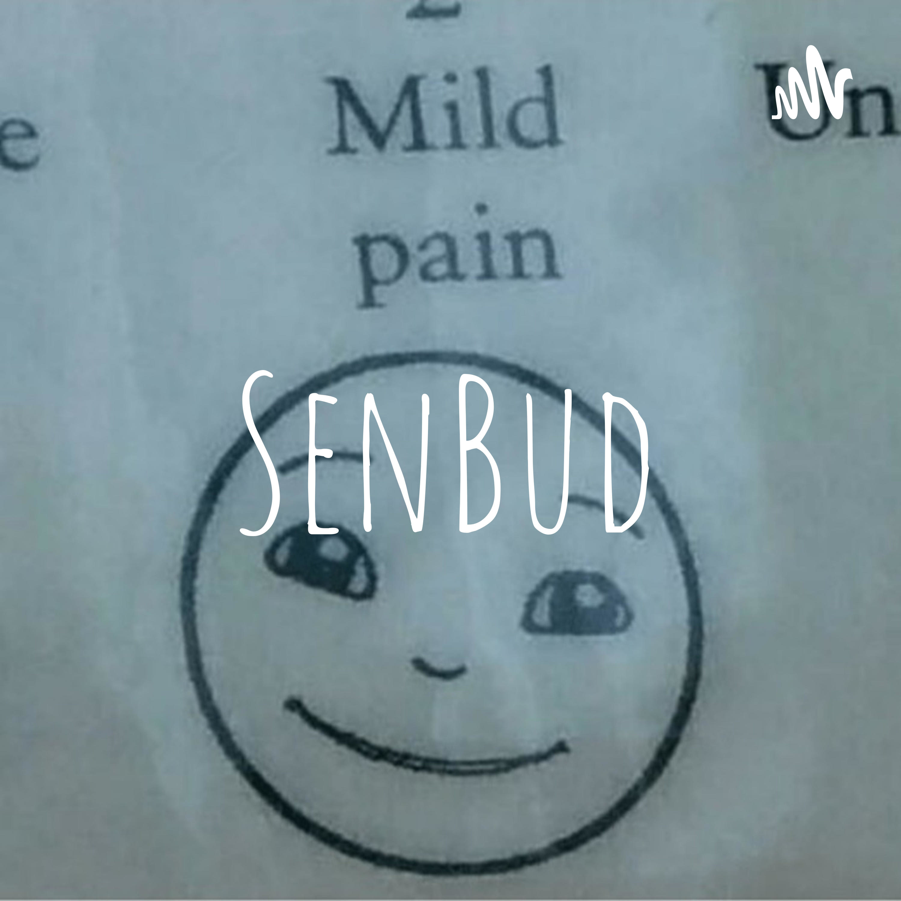 SenBud podcast artwork