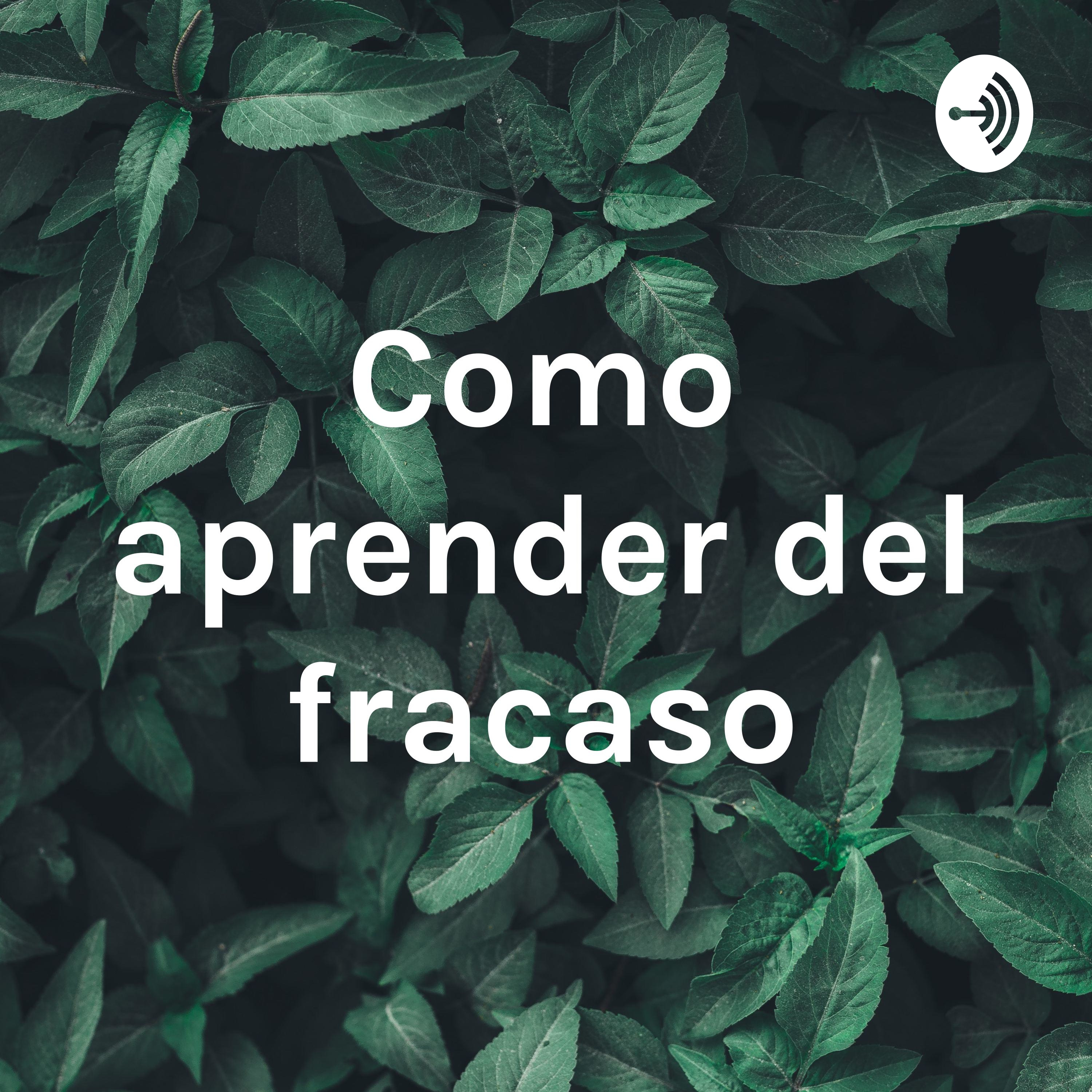 Como aprender del fracaso