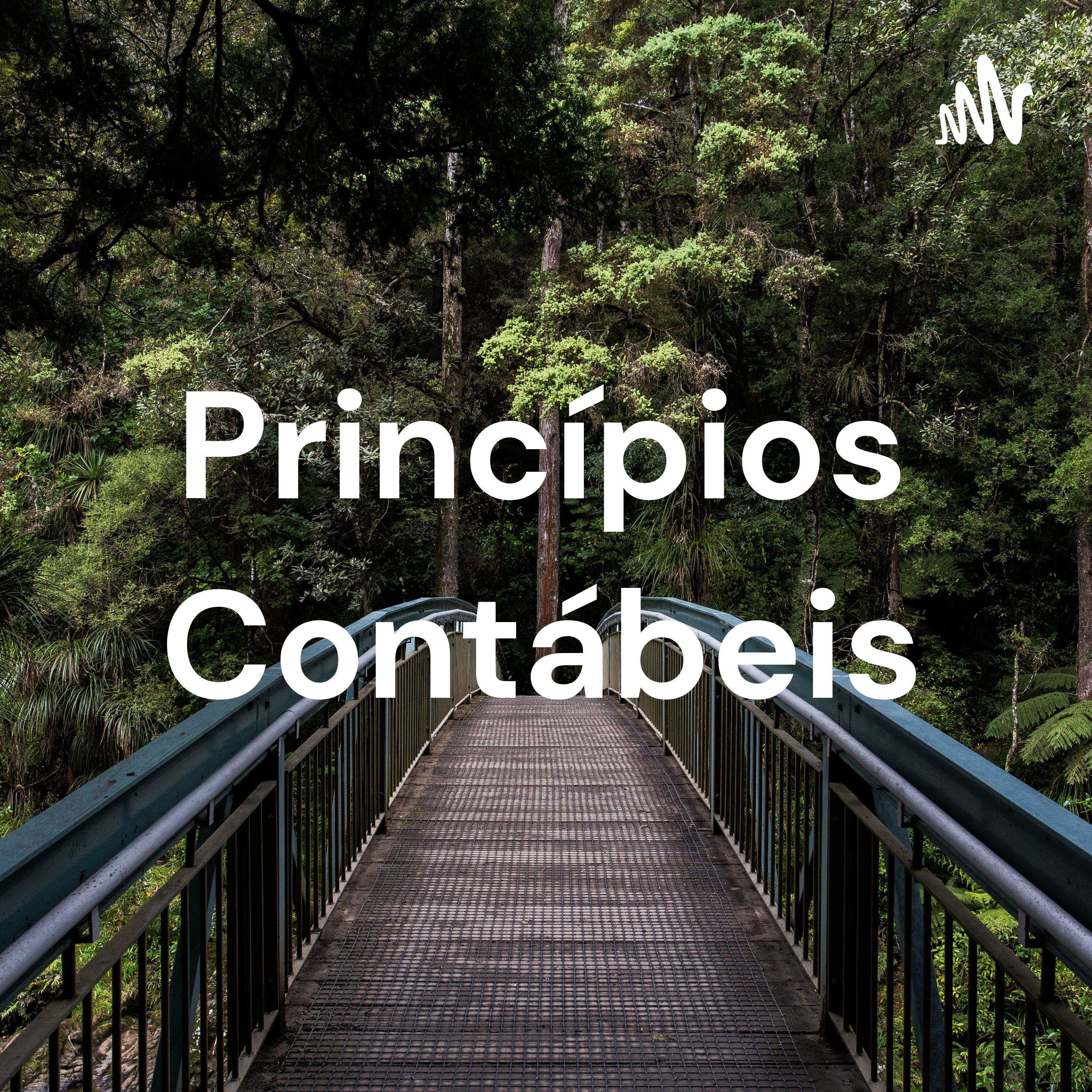 Princípios da Contabilidade