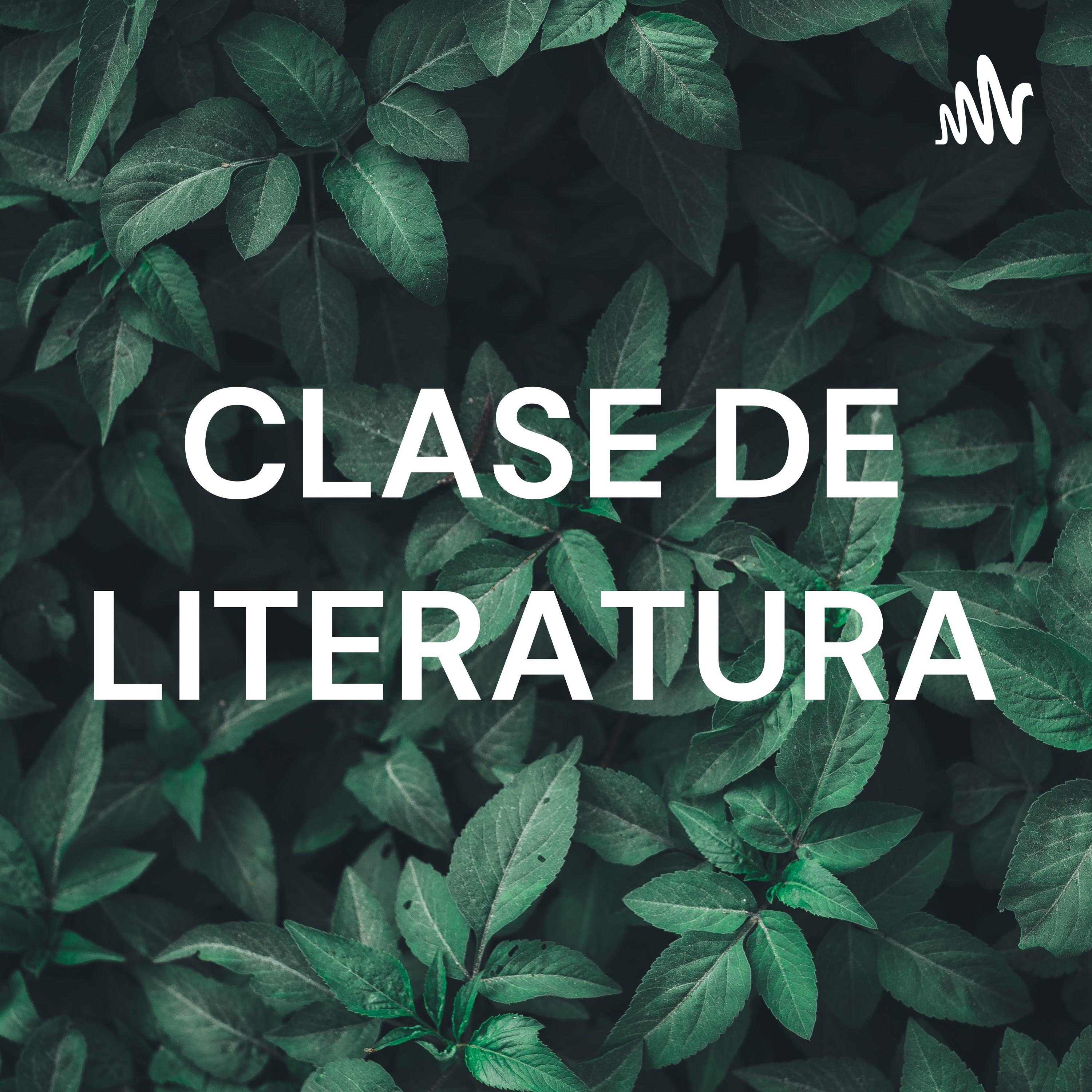 CLASE DE LITERATURA