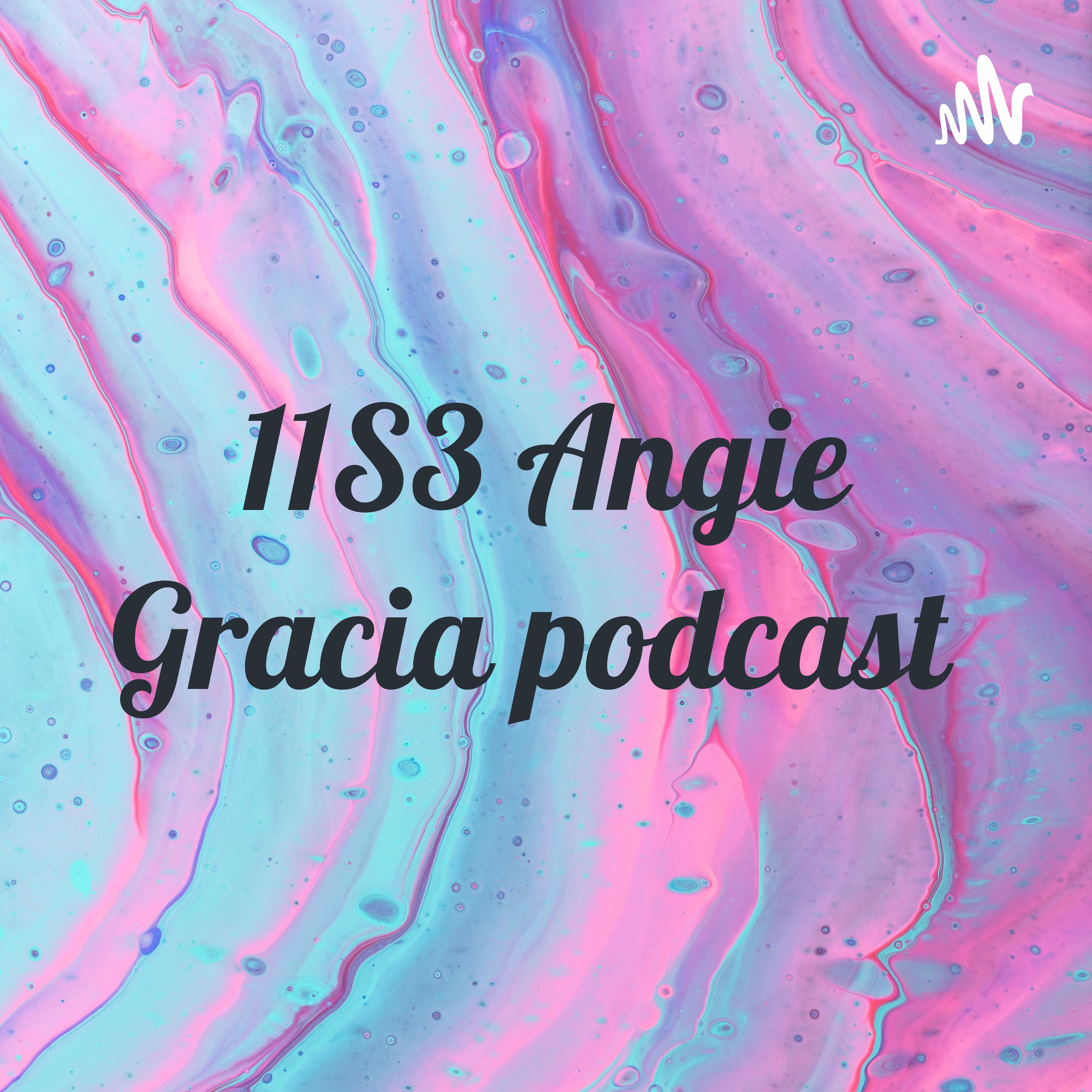 11S3 Angie Gracia podcast