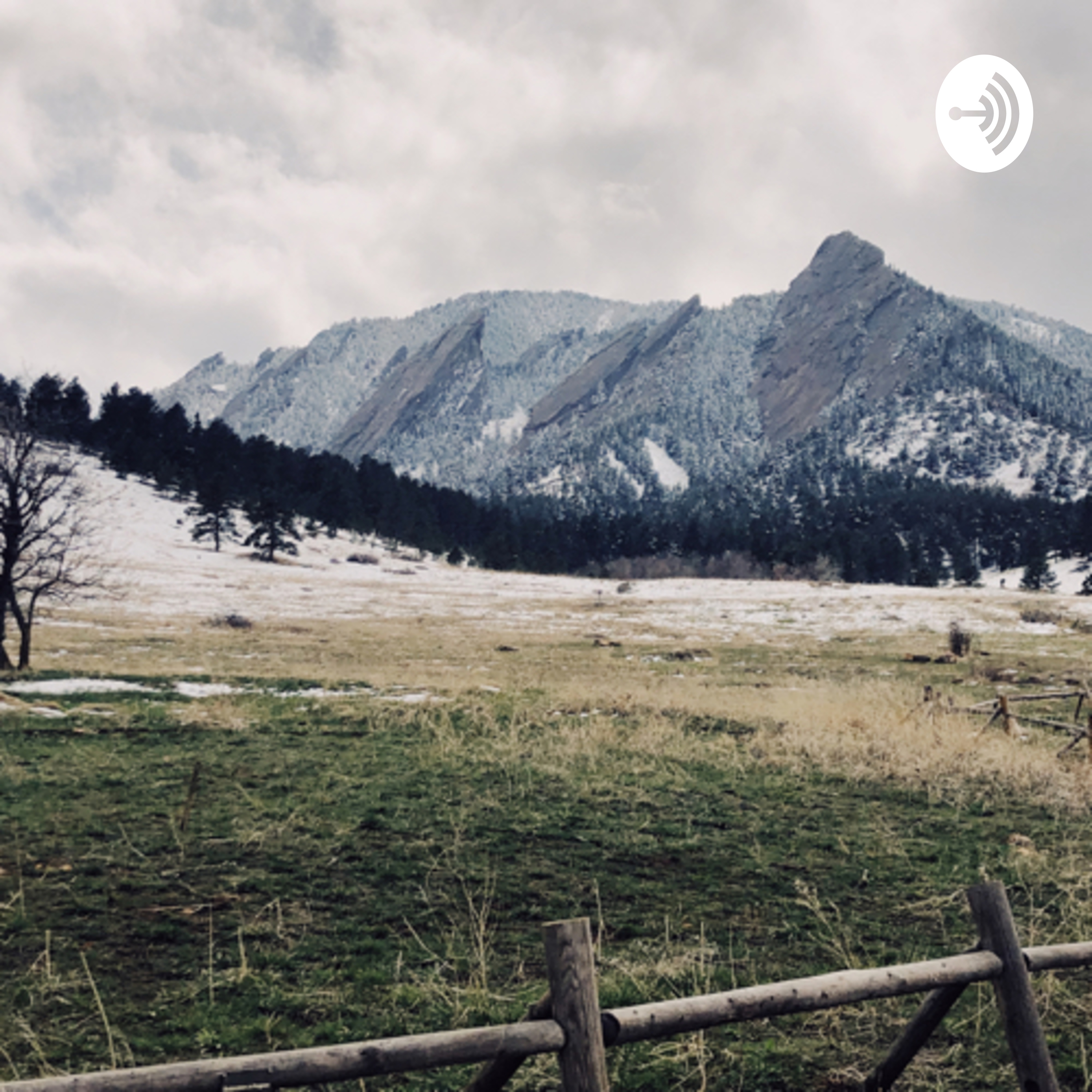 Sami Hansen, Vendedora de Alcatraces, Diego Rivera