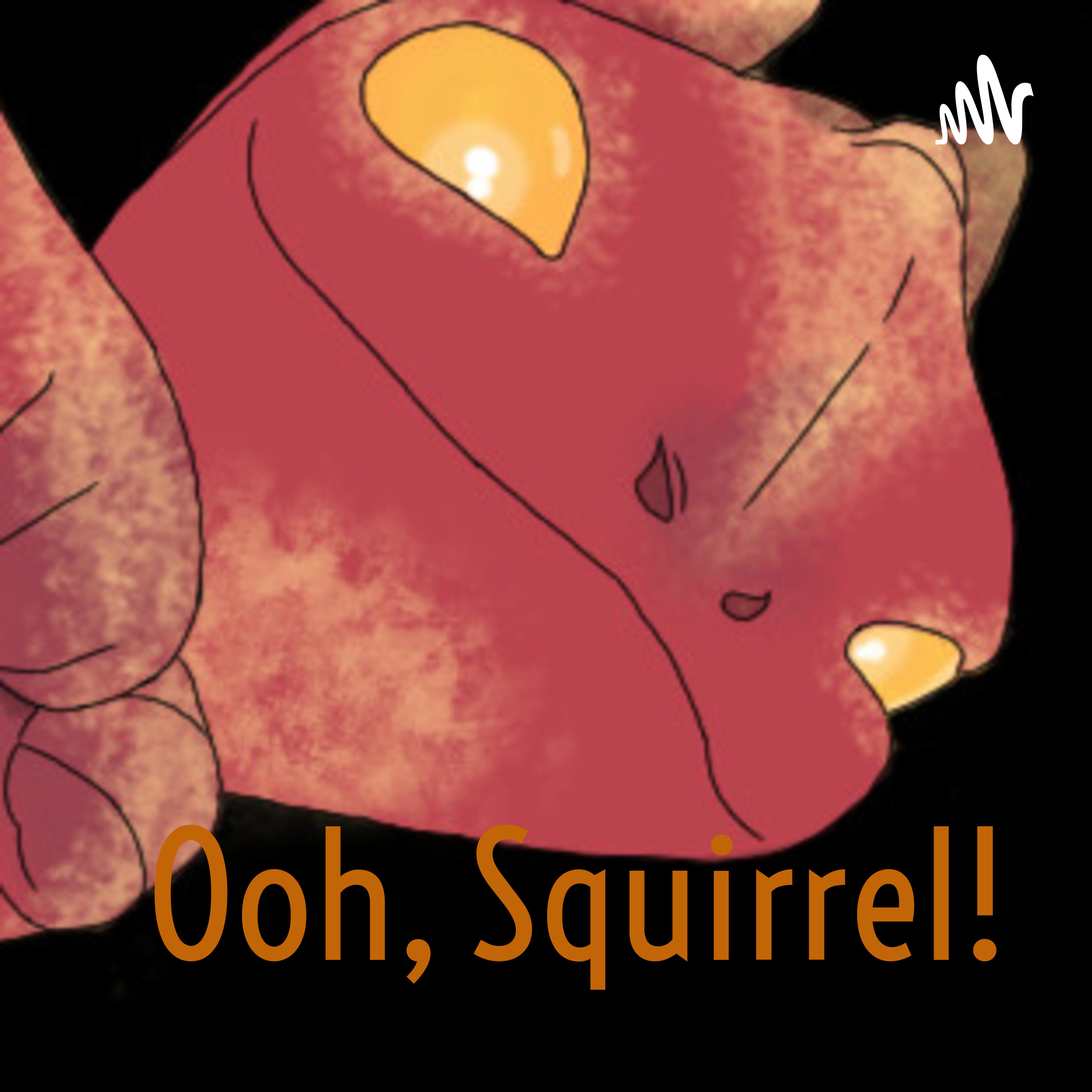 Ooh, Squirrel! podcast artwork