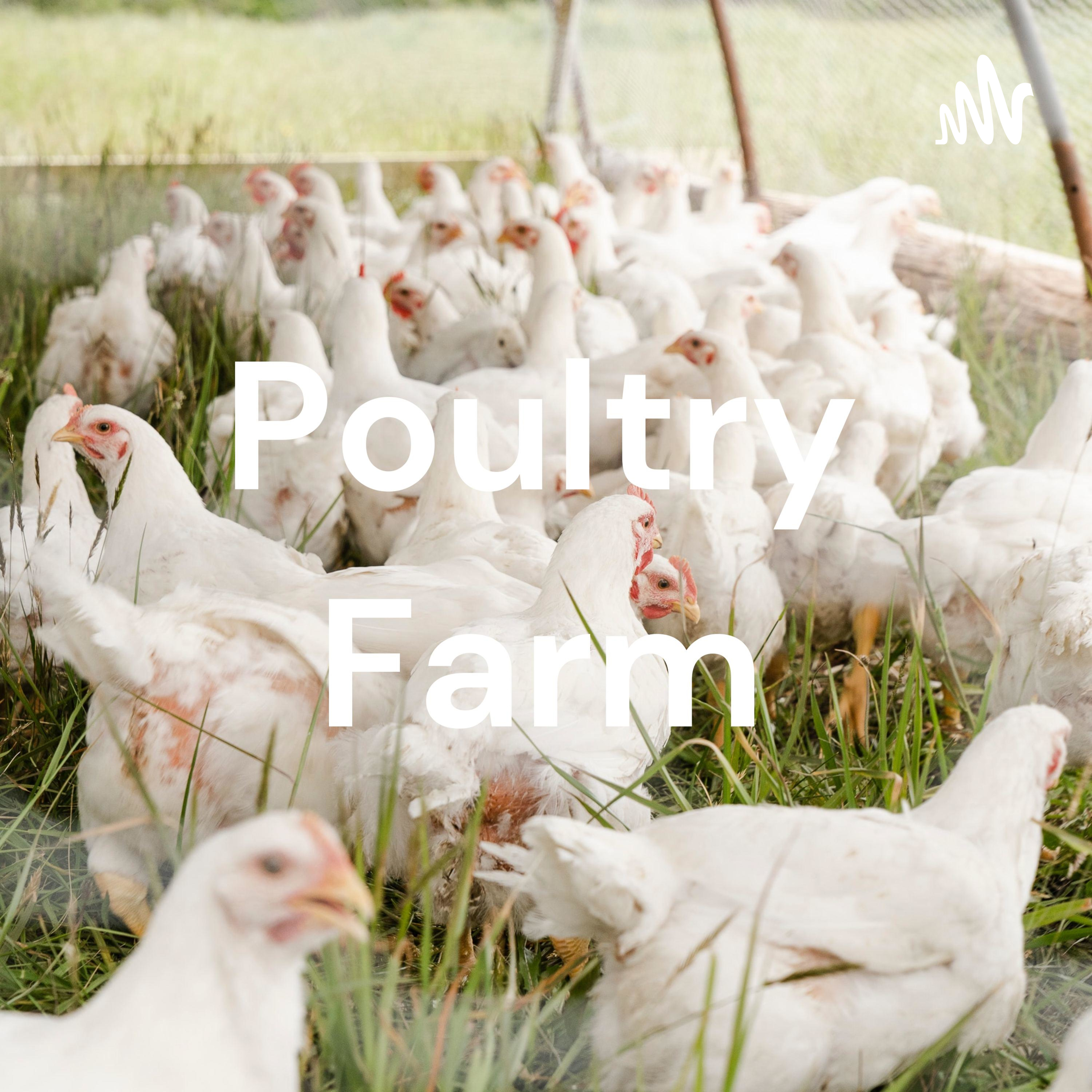 Poultry Farm