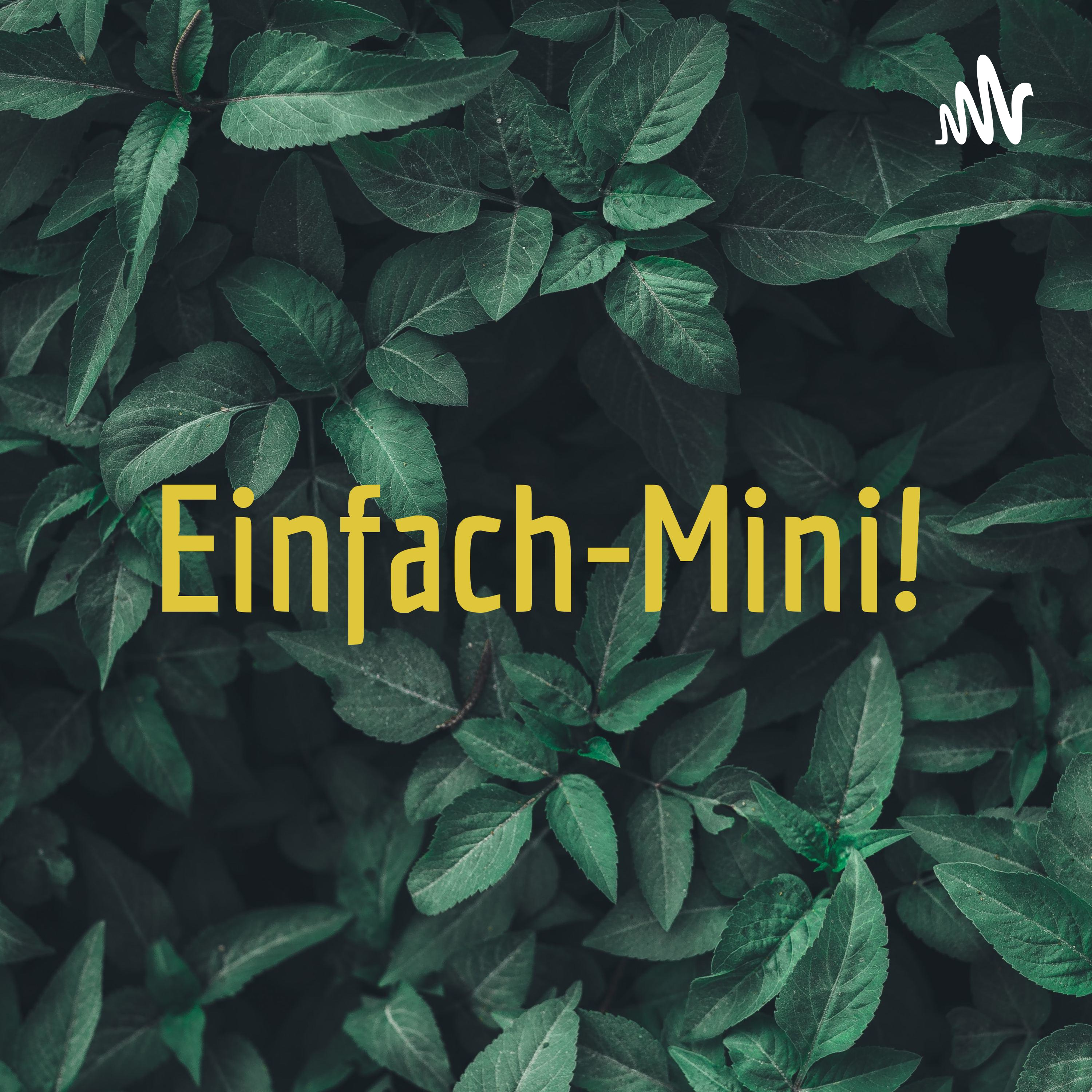 Einfach-Mini!