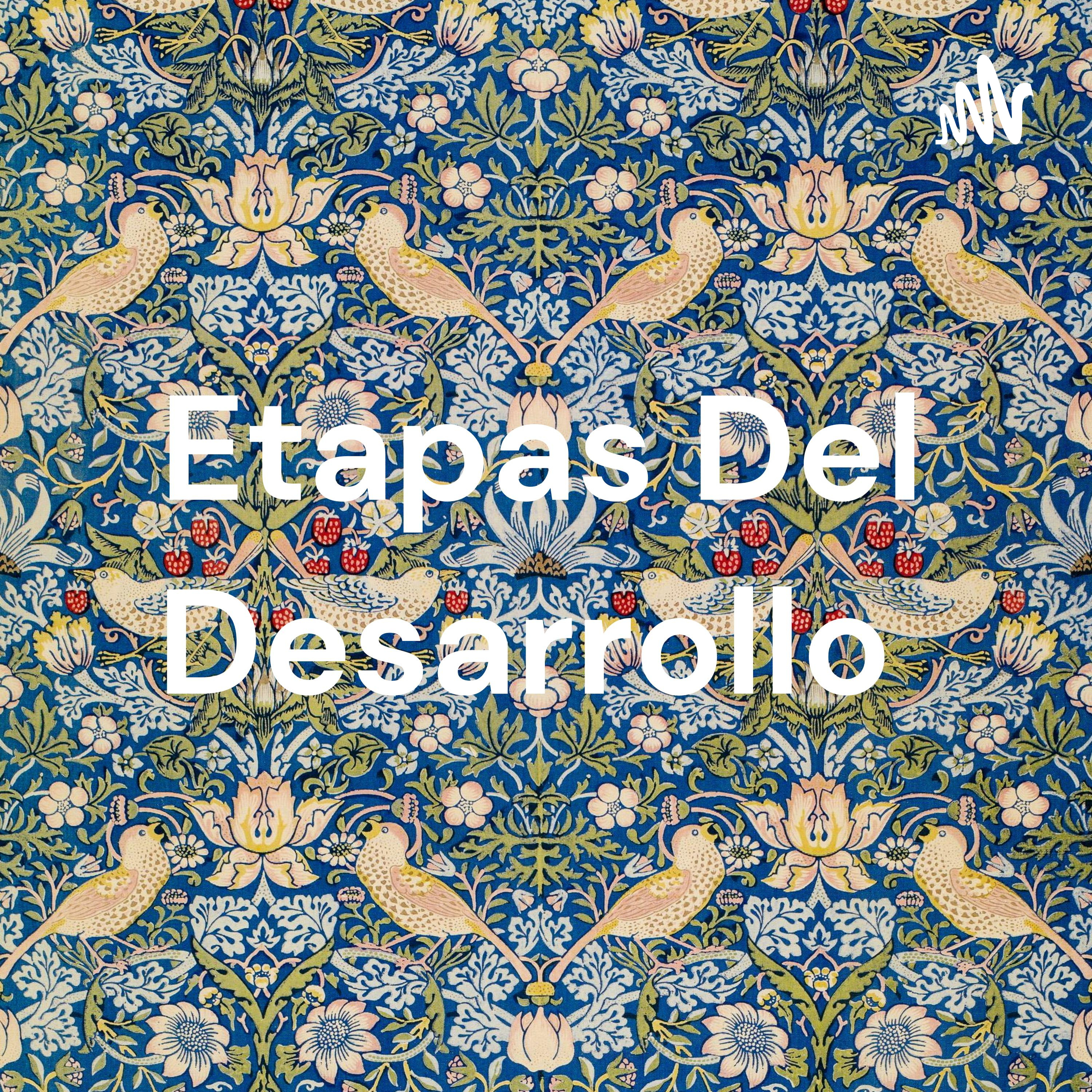 Etapas Del Desarrollo 
