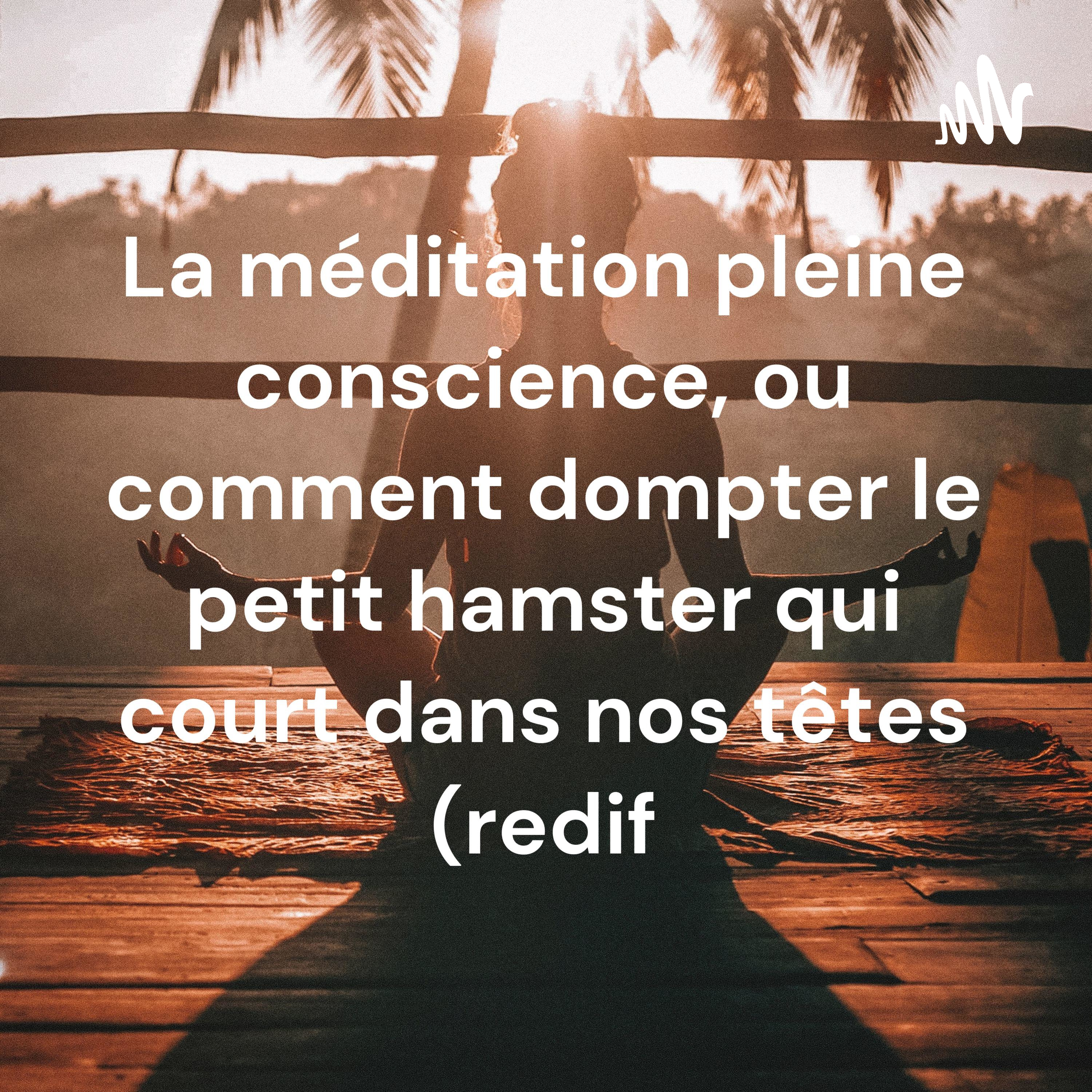 Illustration du podcast La méditation pleine conscience, ou comment dompter le petit hamster qui court dans nos têtes (redif