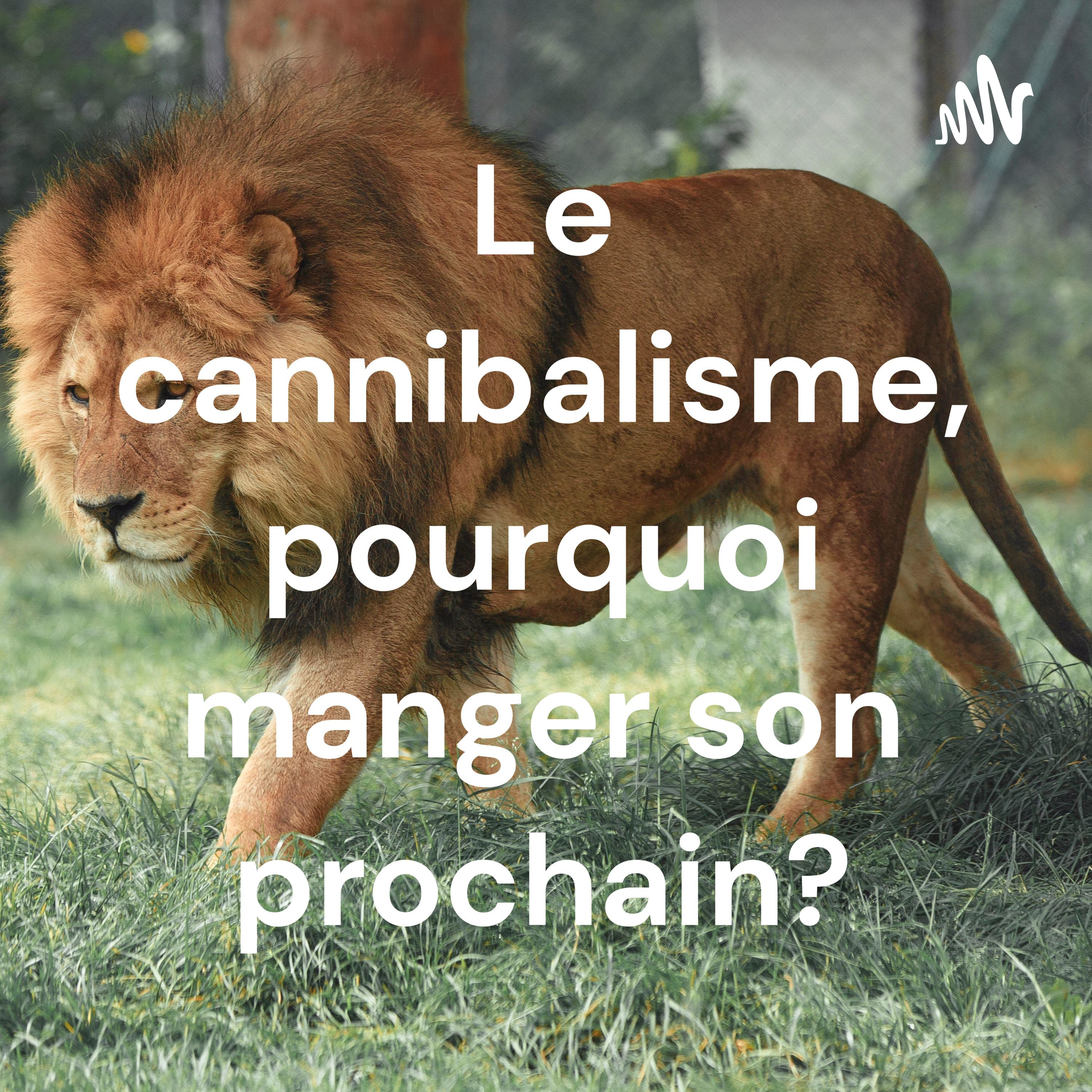 Le cannibalisme, pourquoi manger son prochain?