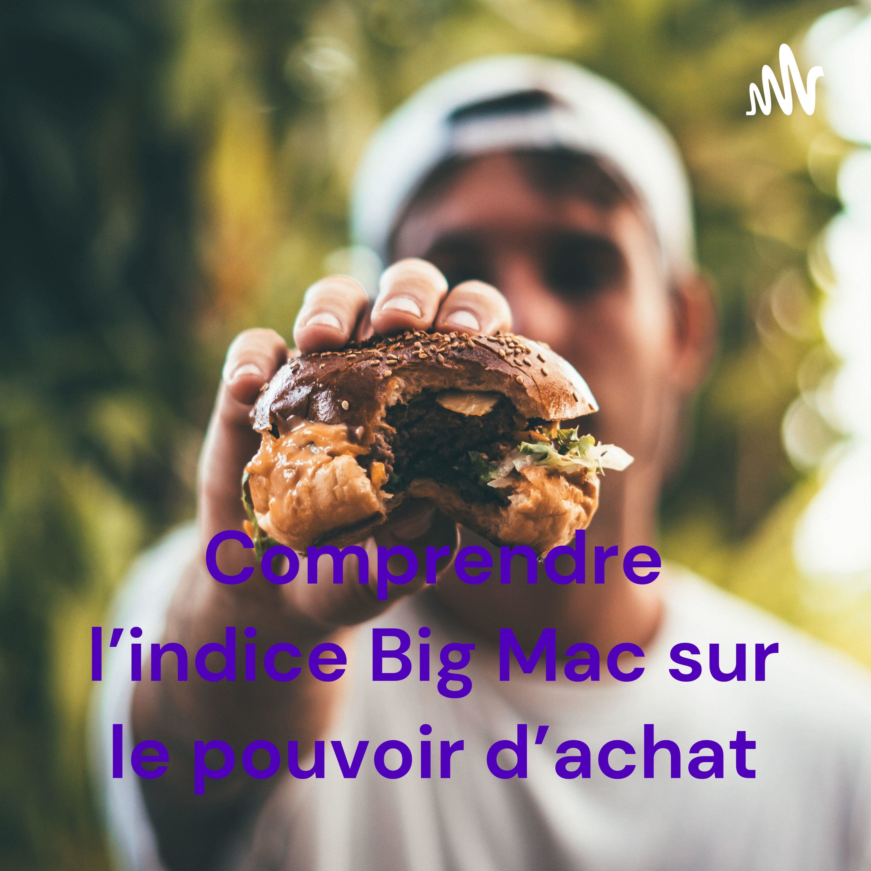 Comprendre l'indice Big Mac sur le pouvoir d'achat