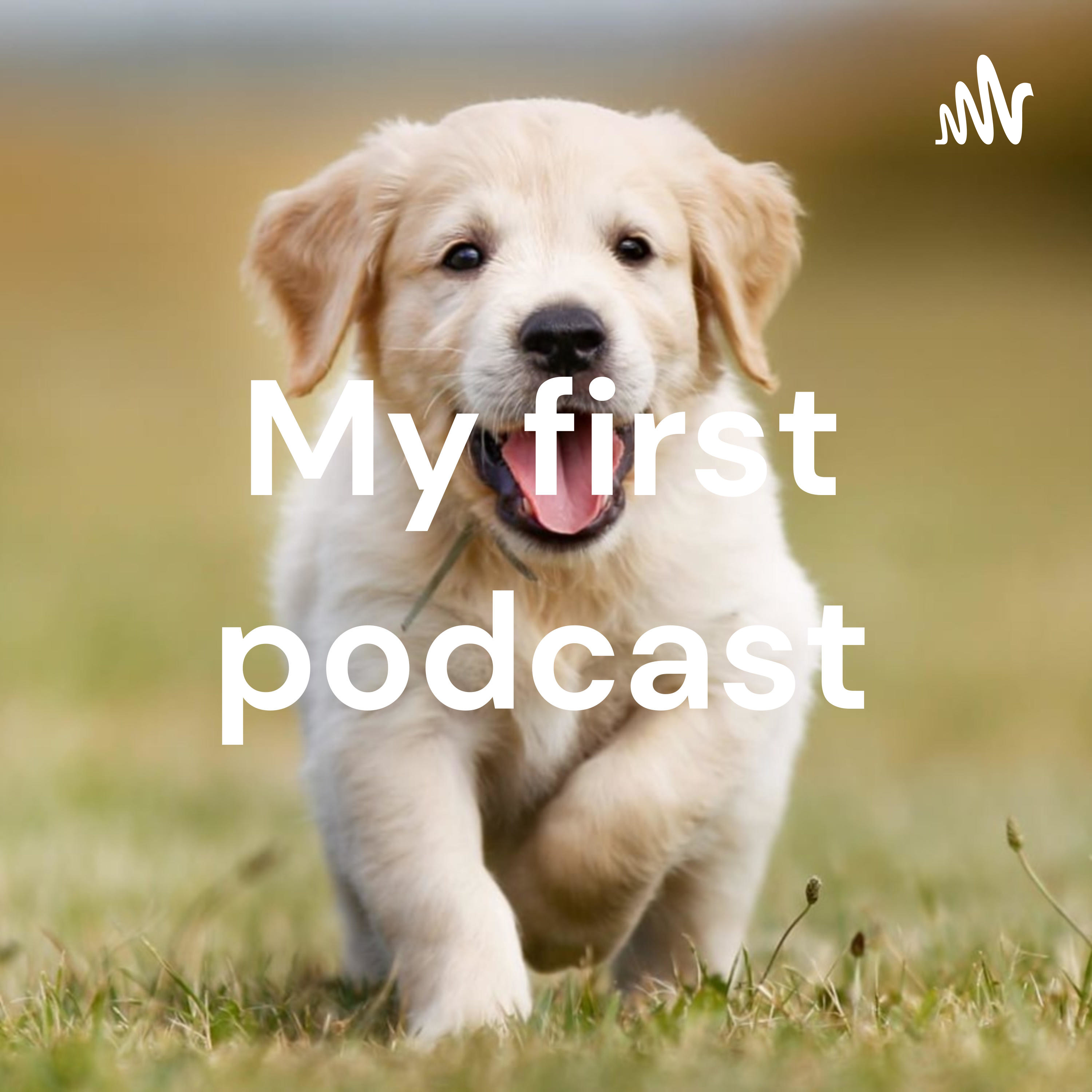 My first podcast