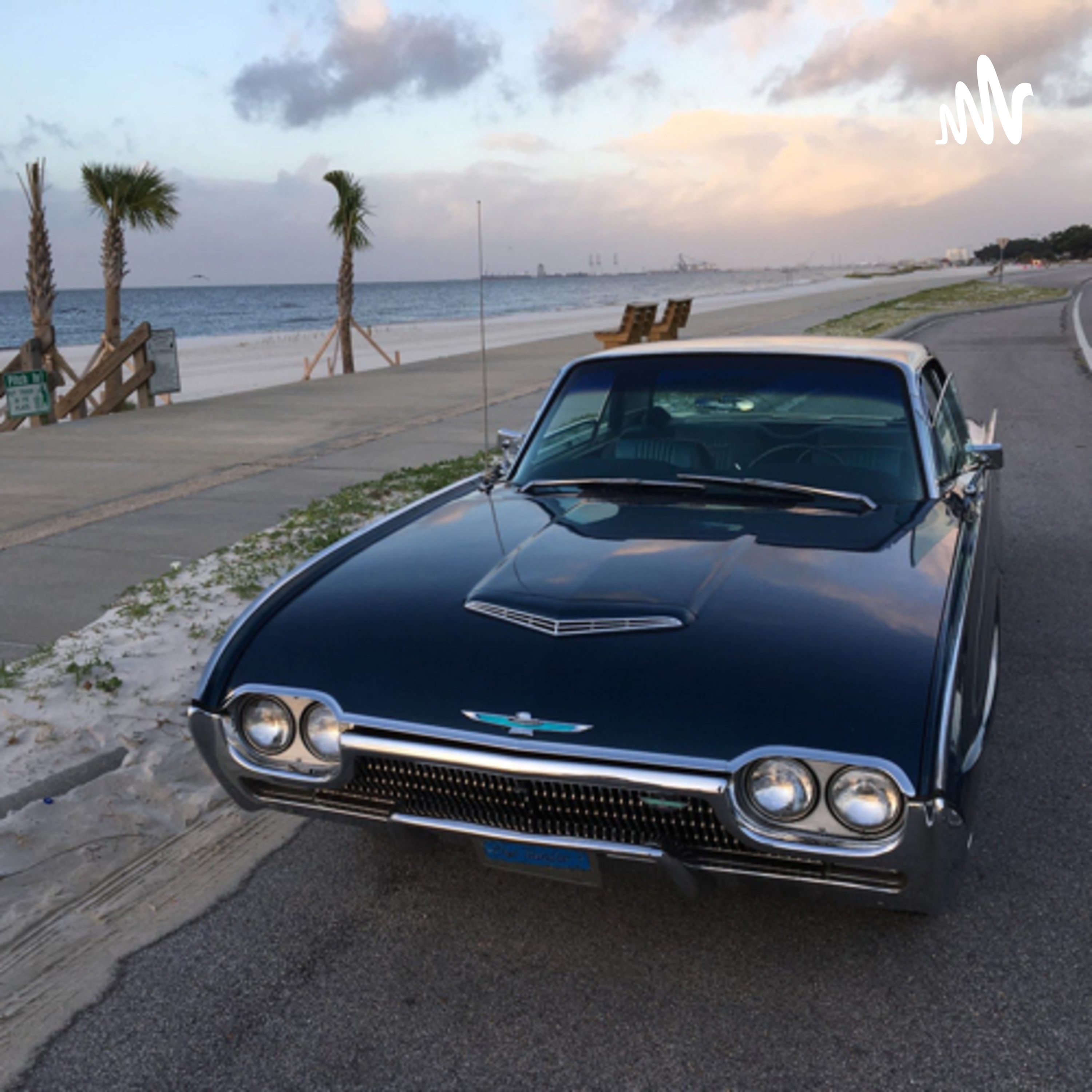 Ford Thunderbird “Unique In All The World”