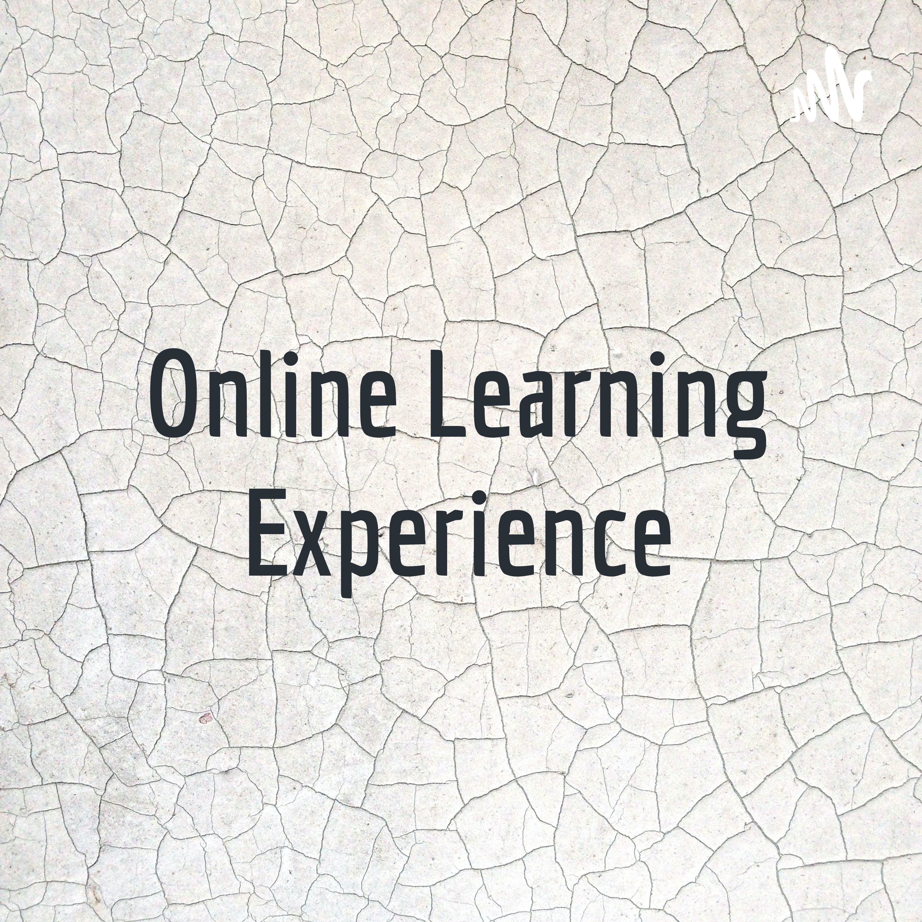 Online Learning Experience