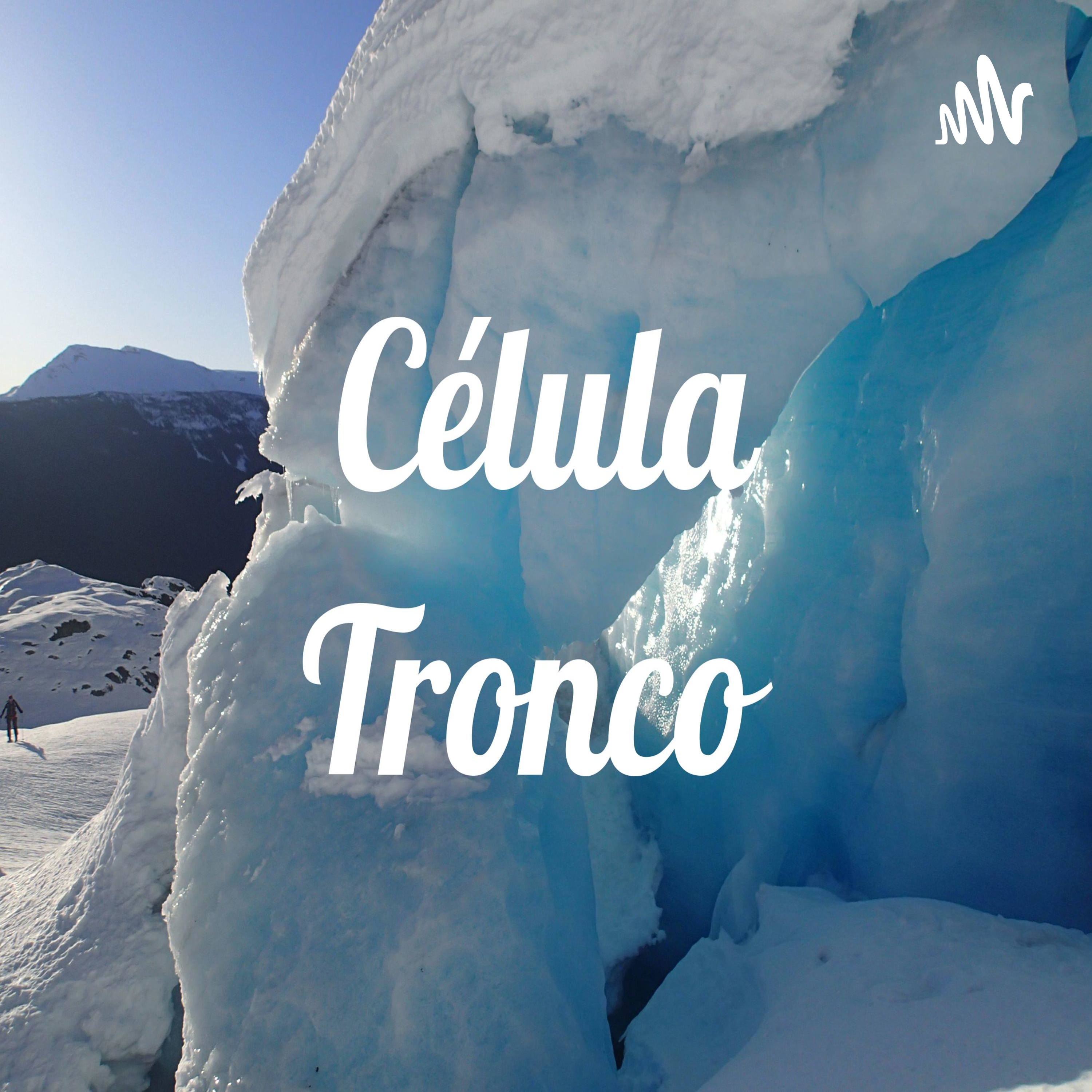 Célula Tronco