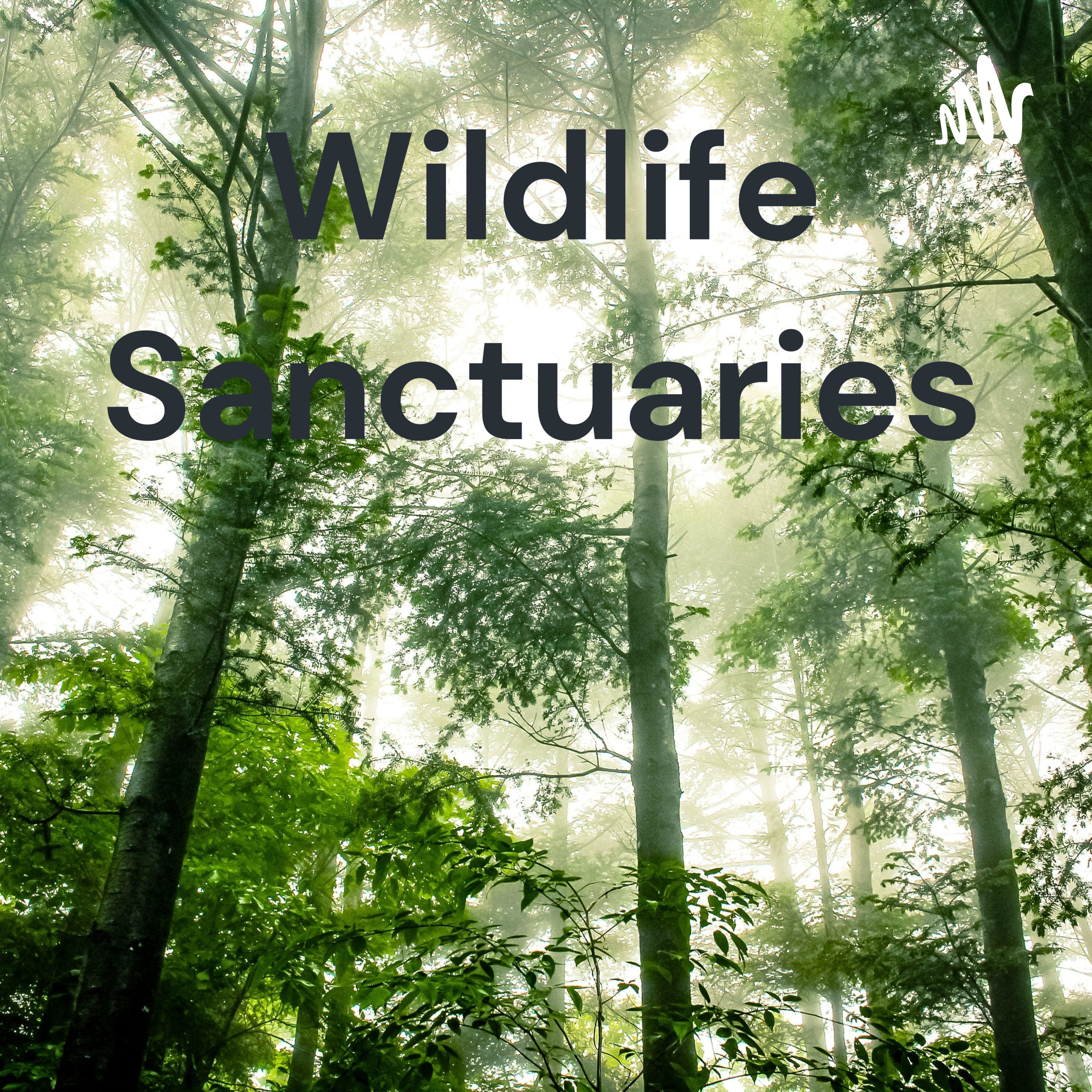 Wildlife Sanctuaries