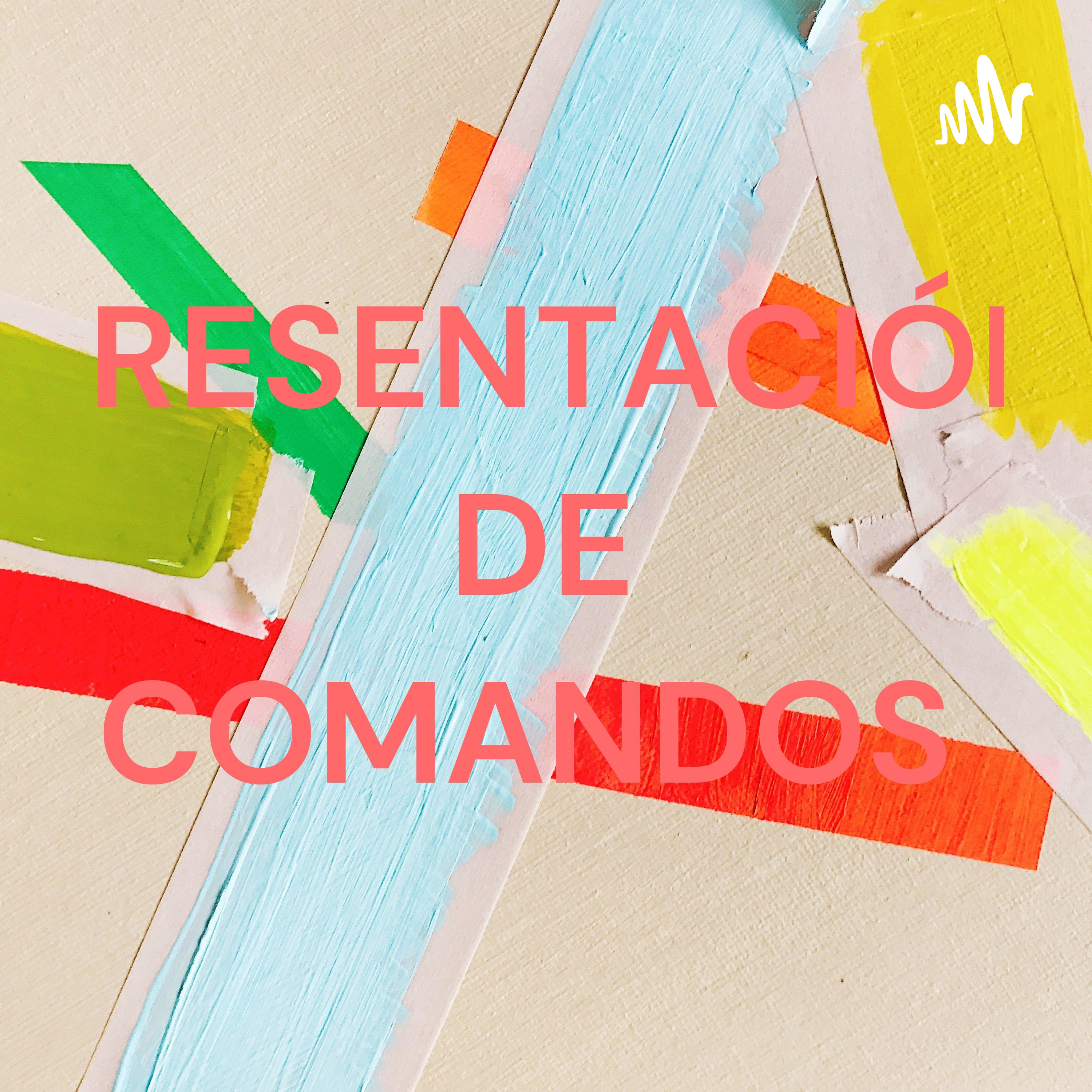 PRESENTACIÓN DE COMANDOS