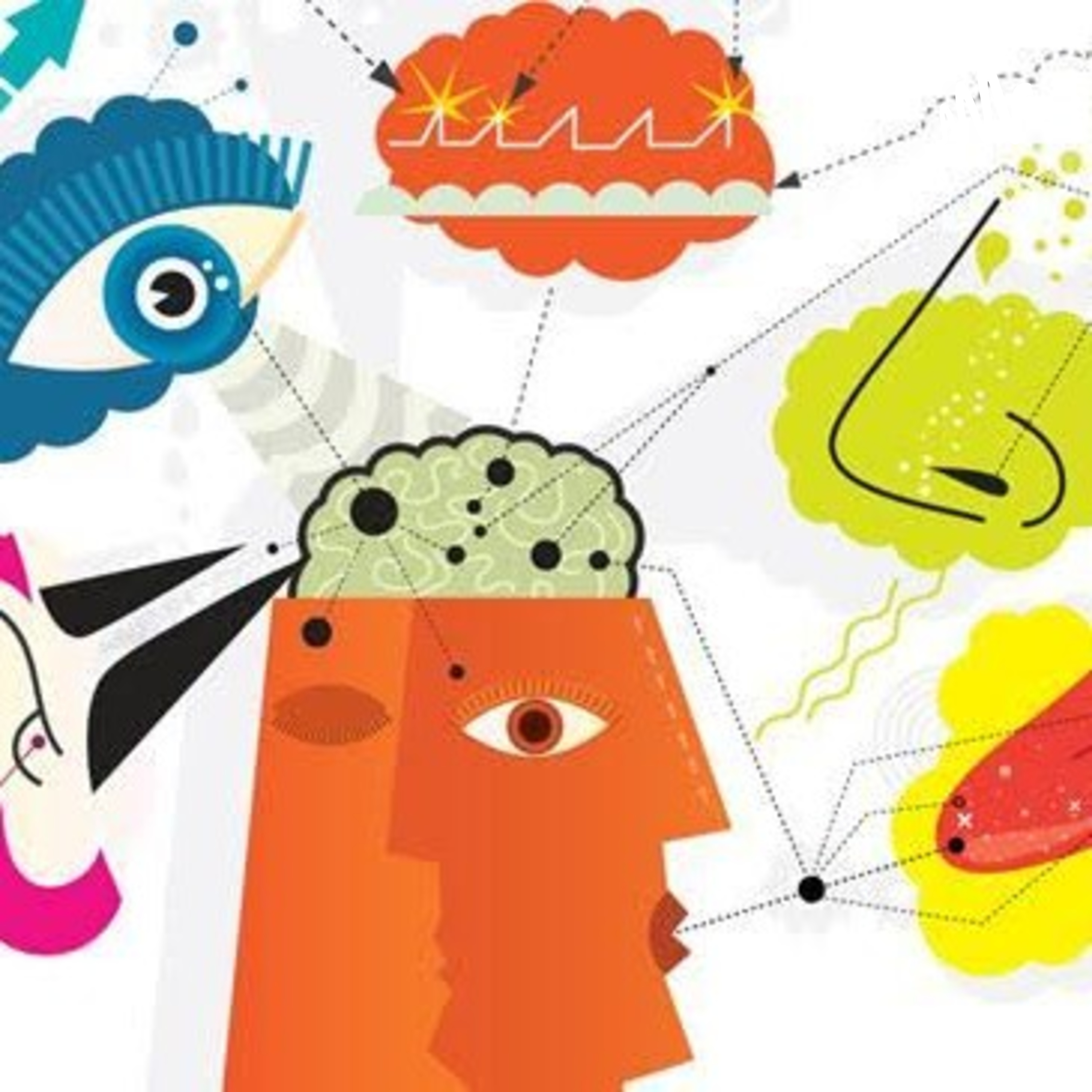 Introducción al análisis sensorial de alimentos, aplicado a la gastronomía. 