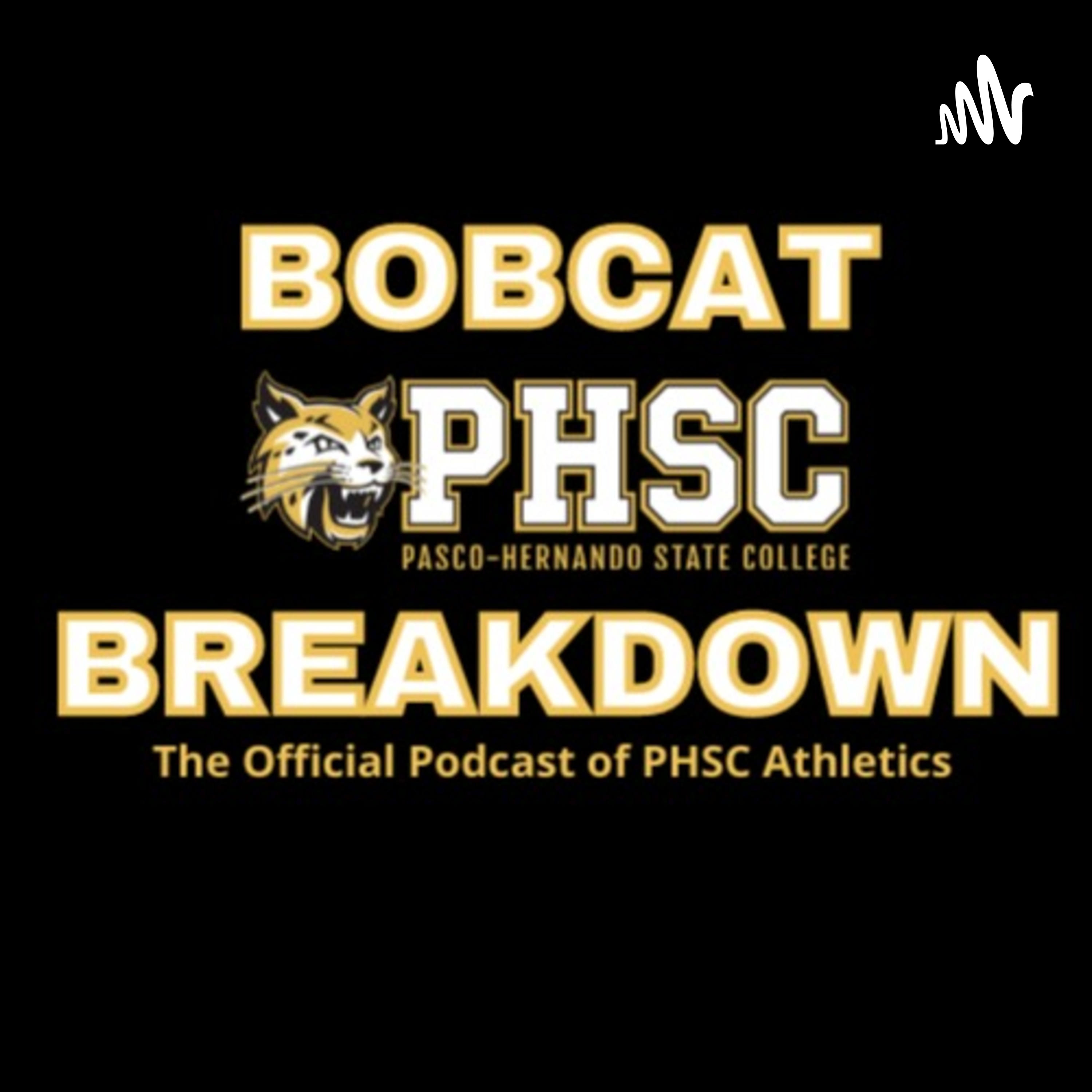 The Bobcat Breakdown