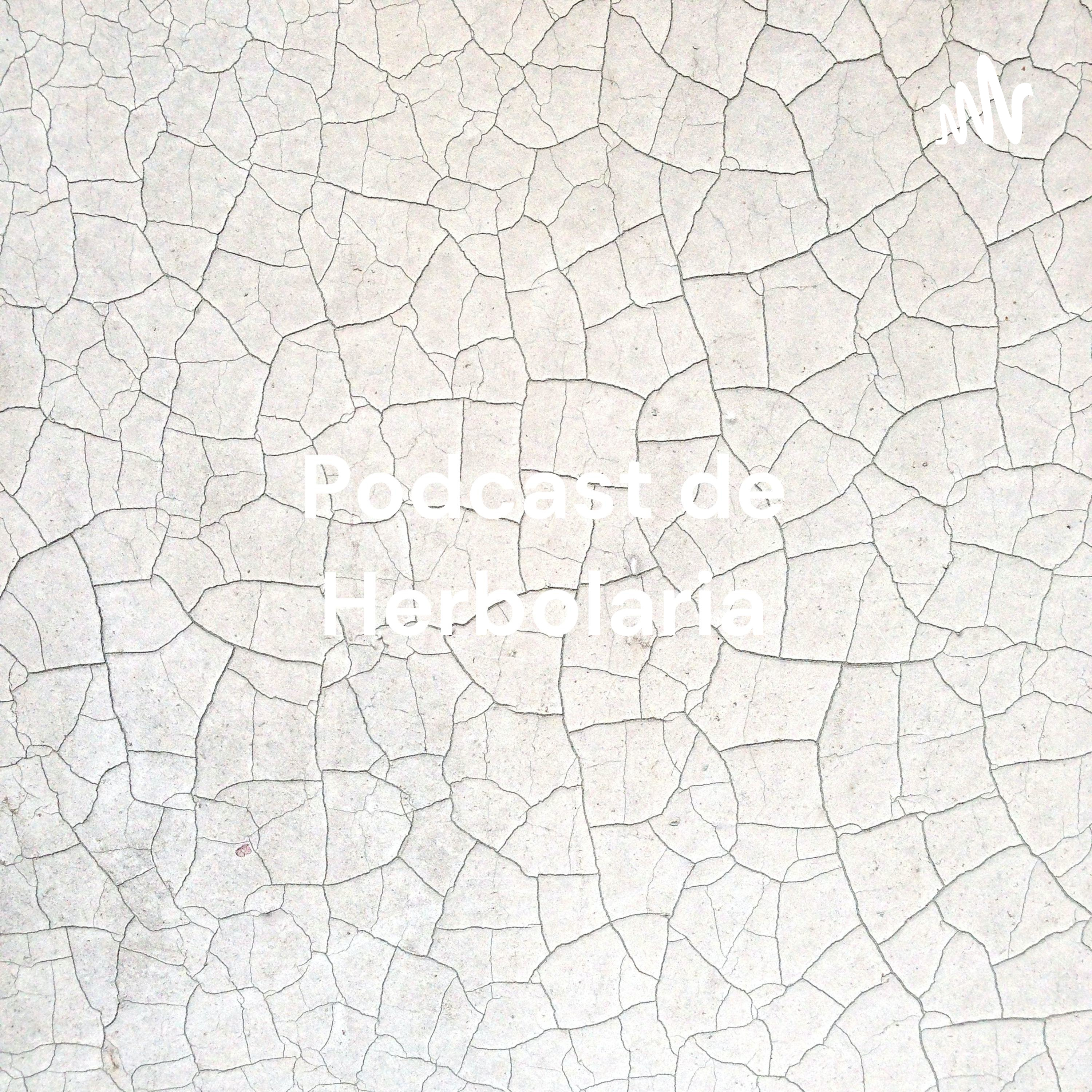 Podcast de Herbolaria: Abortivos y sus interacciones farmacológicas.