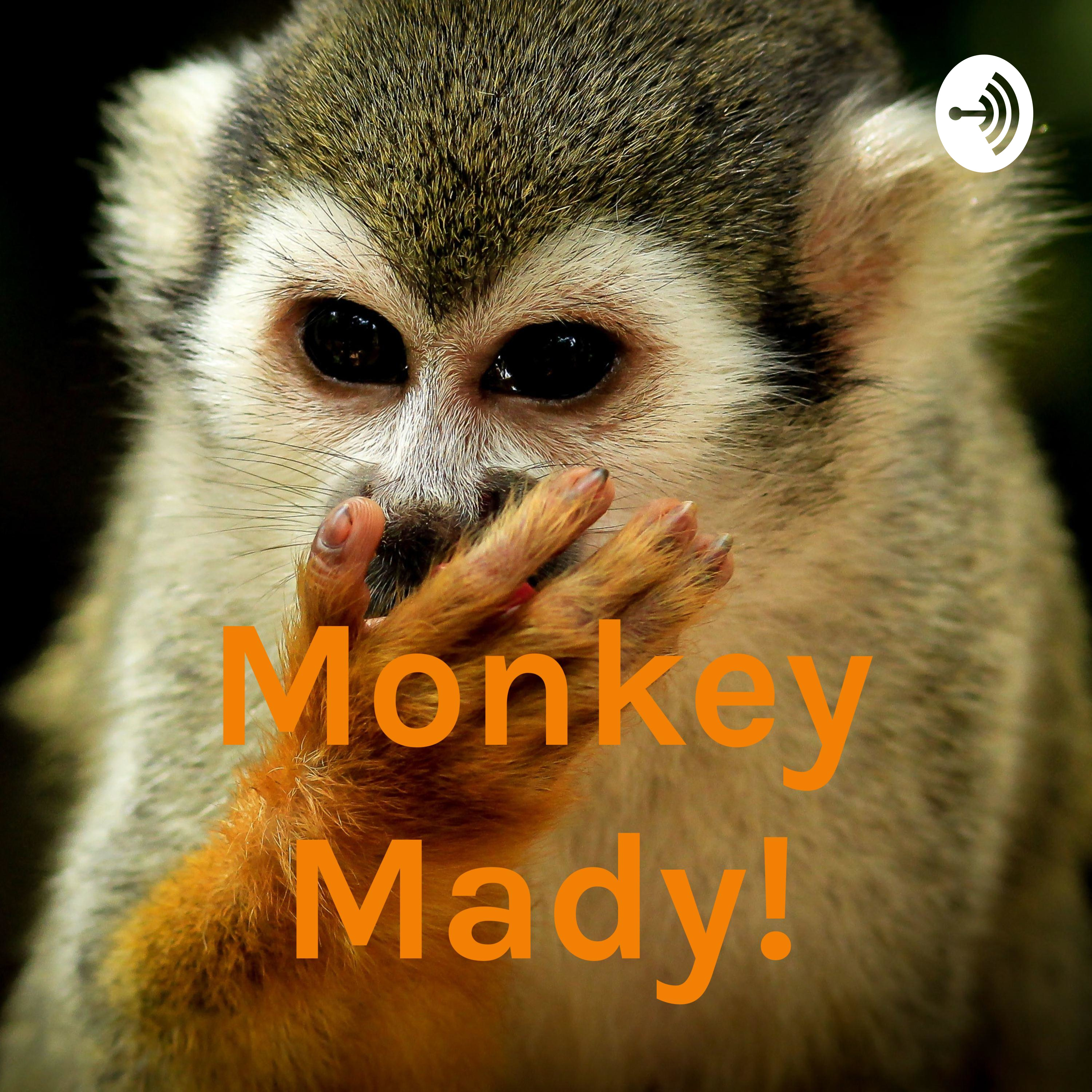 Monkey Mady!