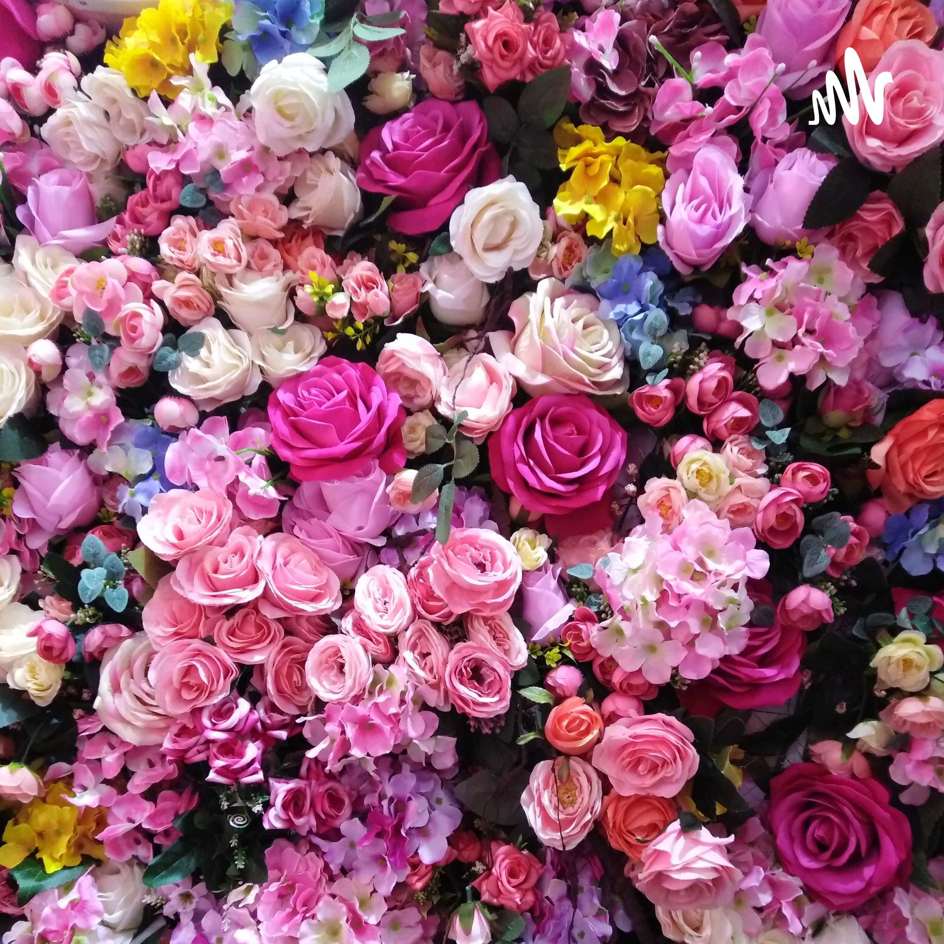 Thư tình gửi một người