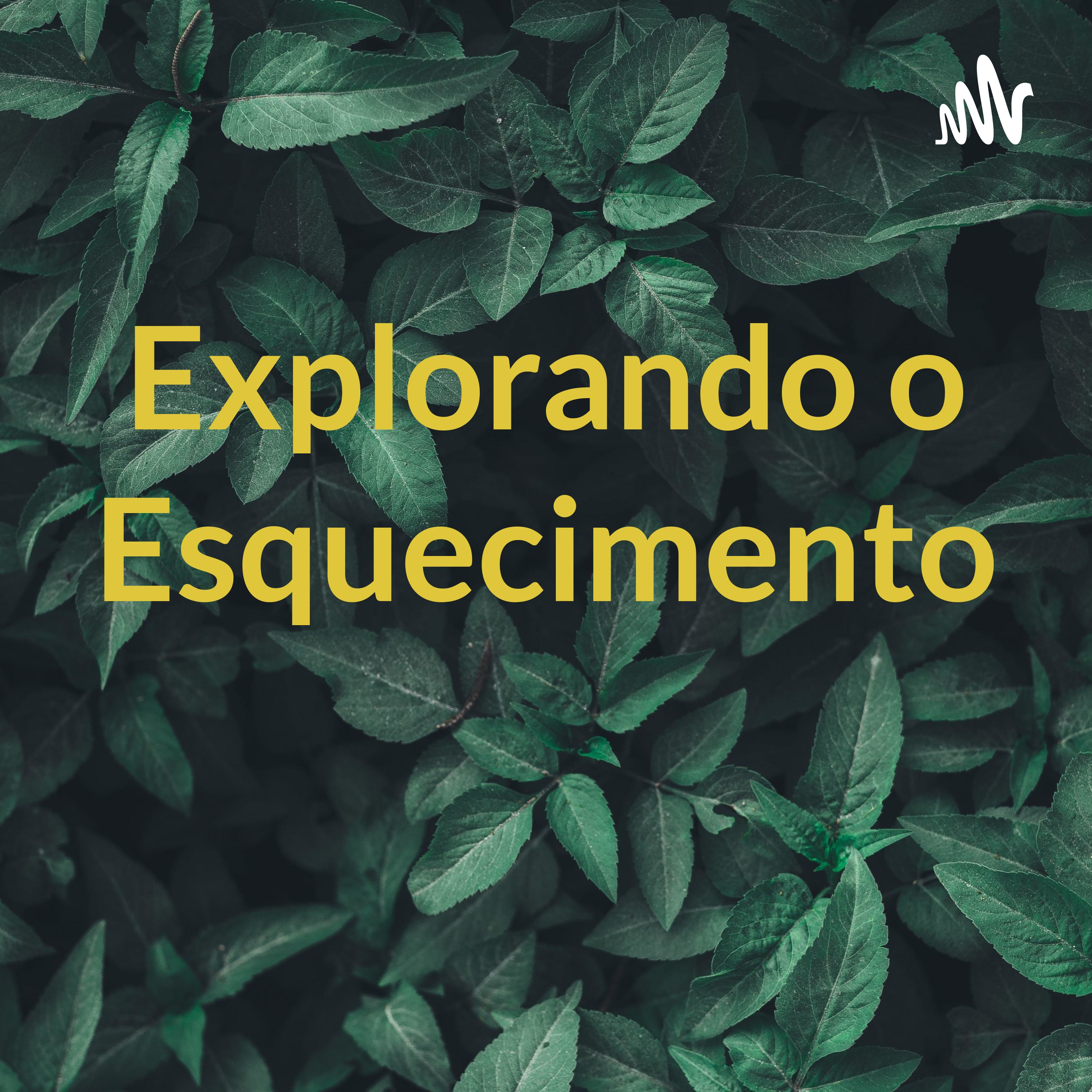Explorando o Esquecimento